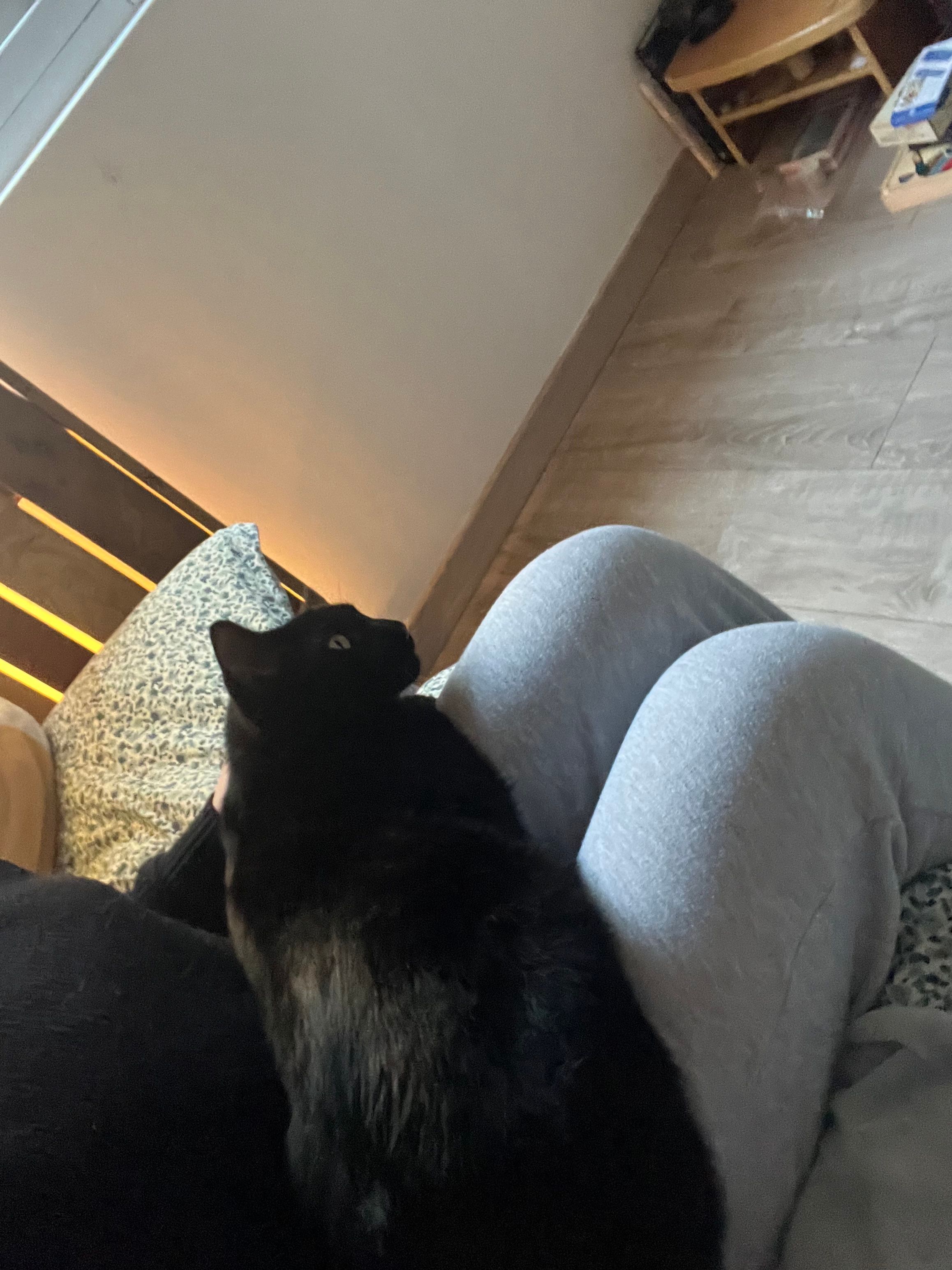 image-7