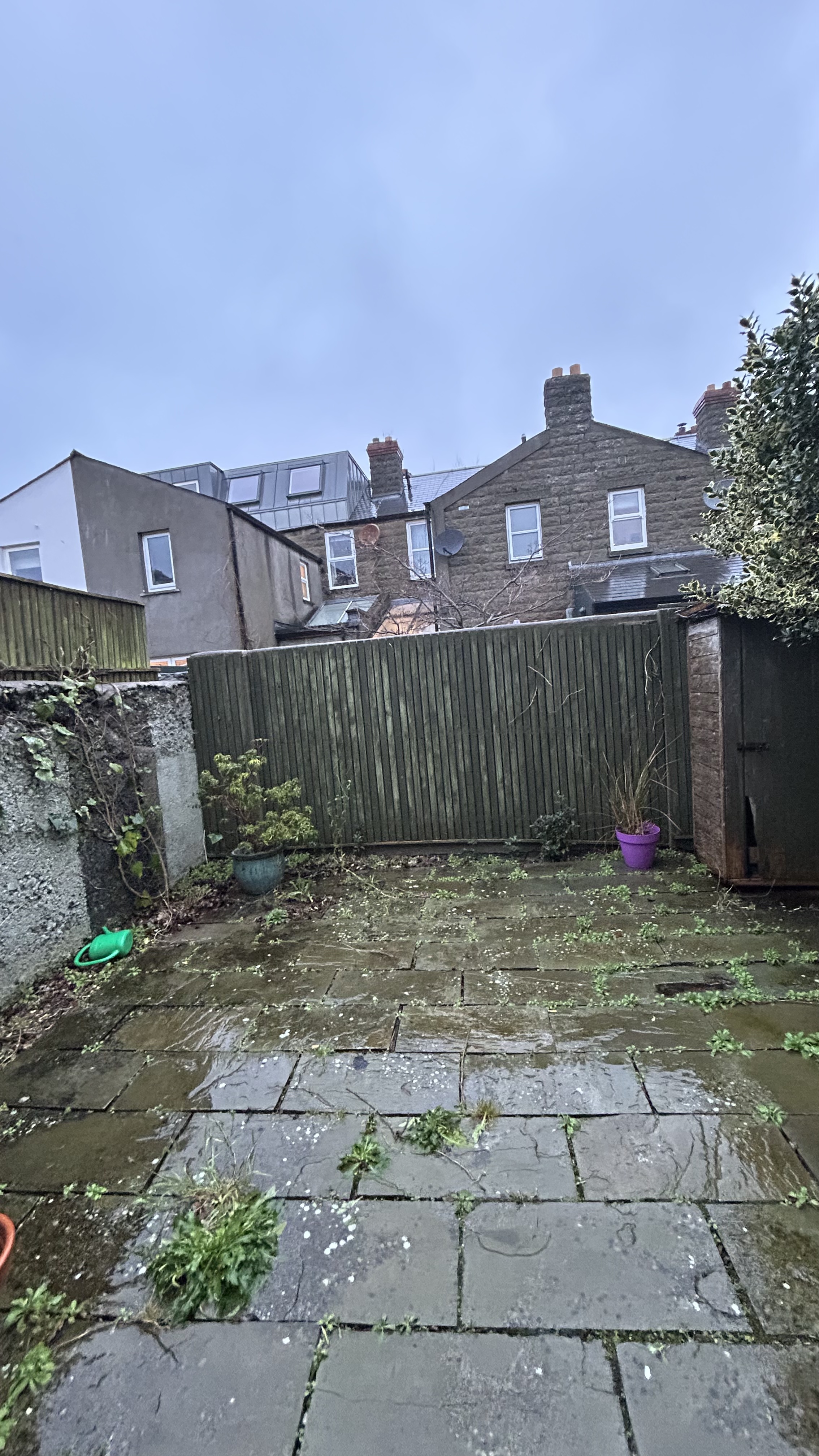 image-14
