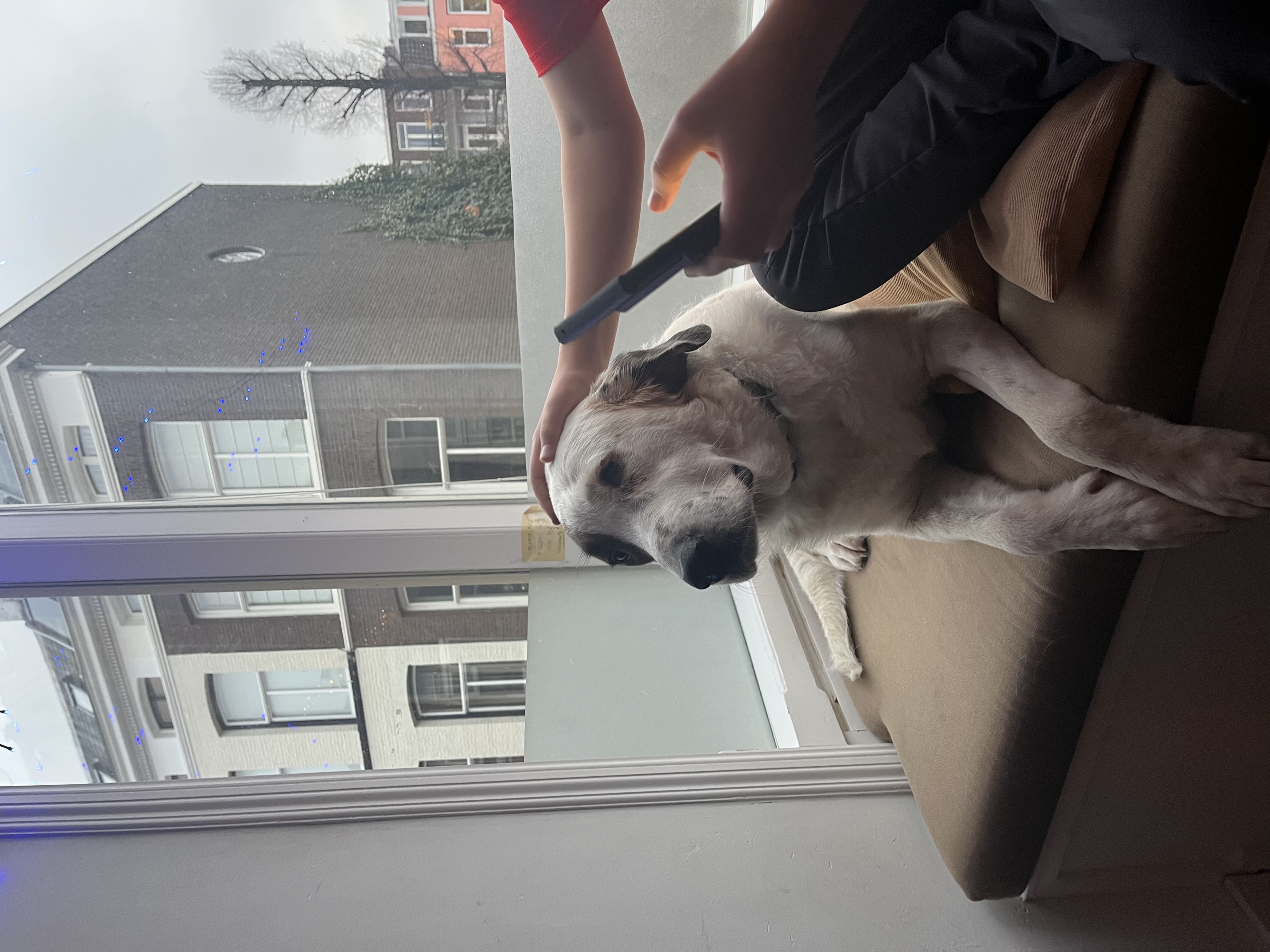 image-9