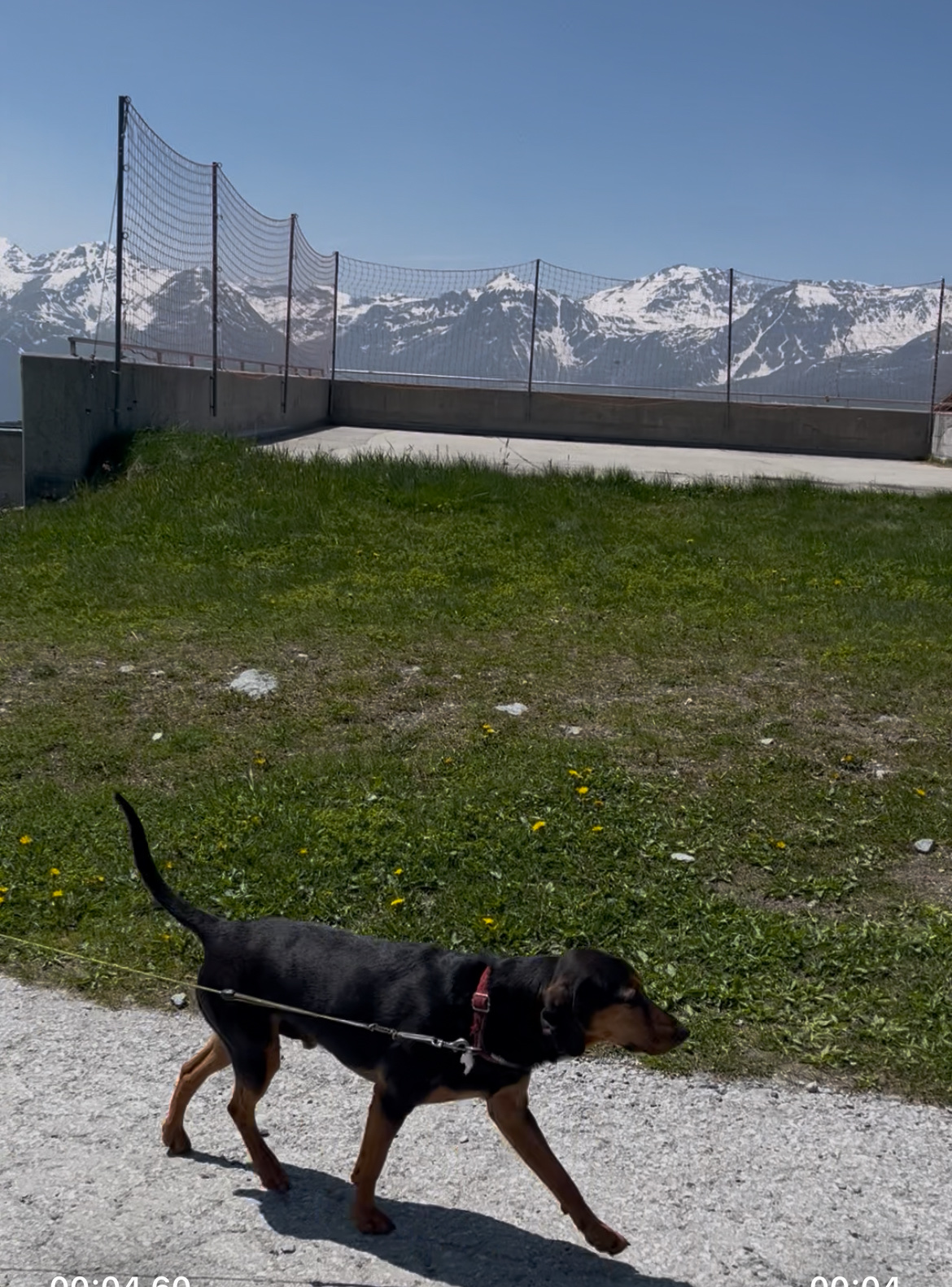 image-5