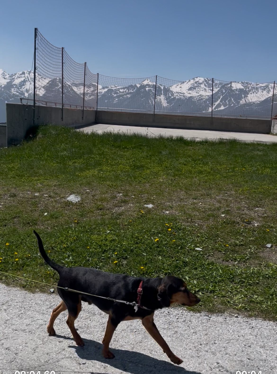 image-5