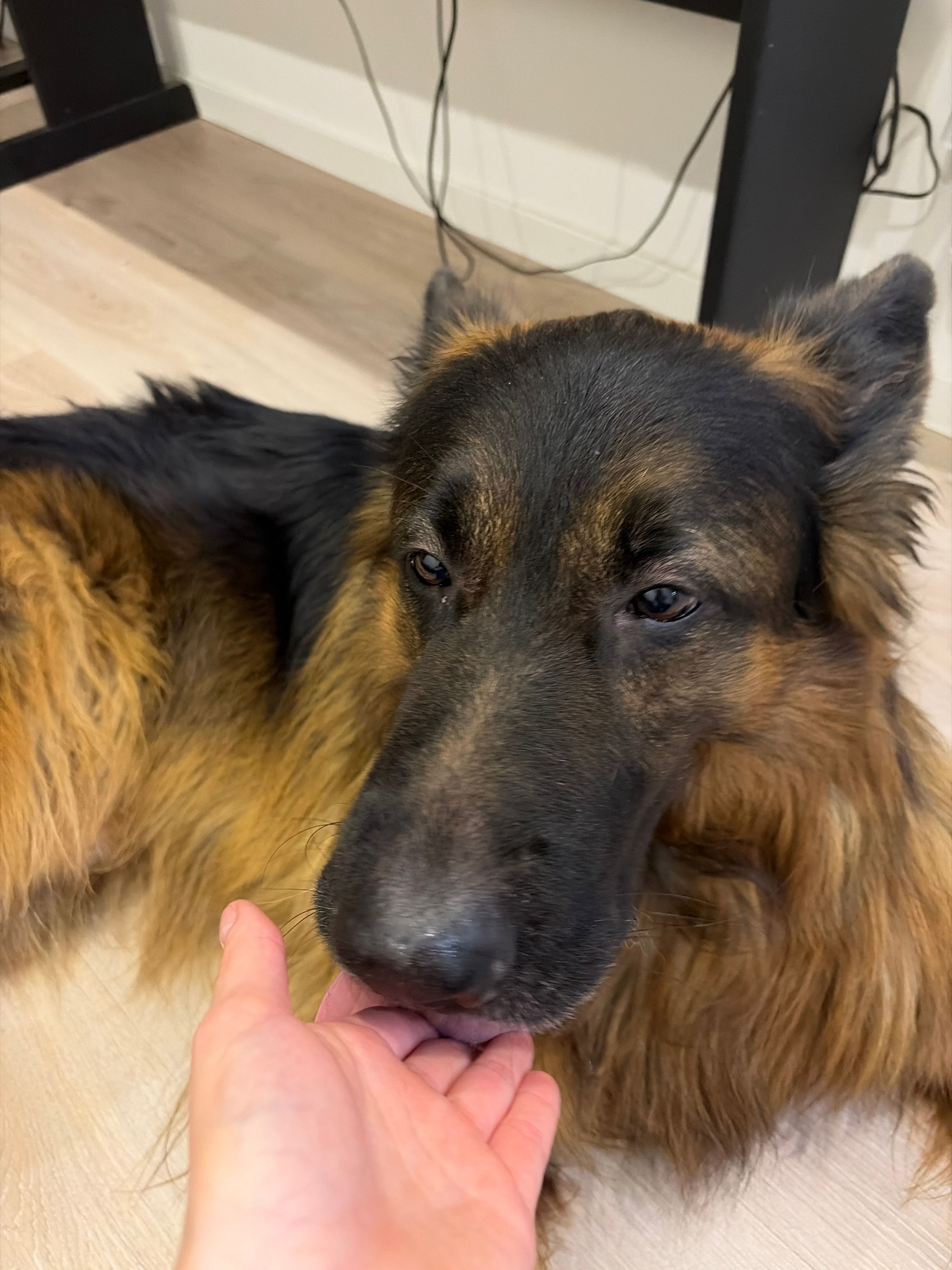image-6