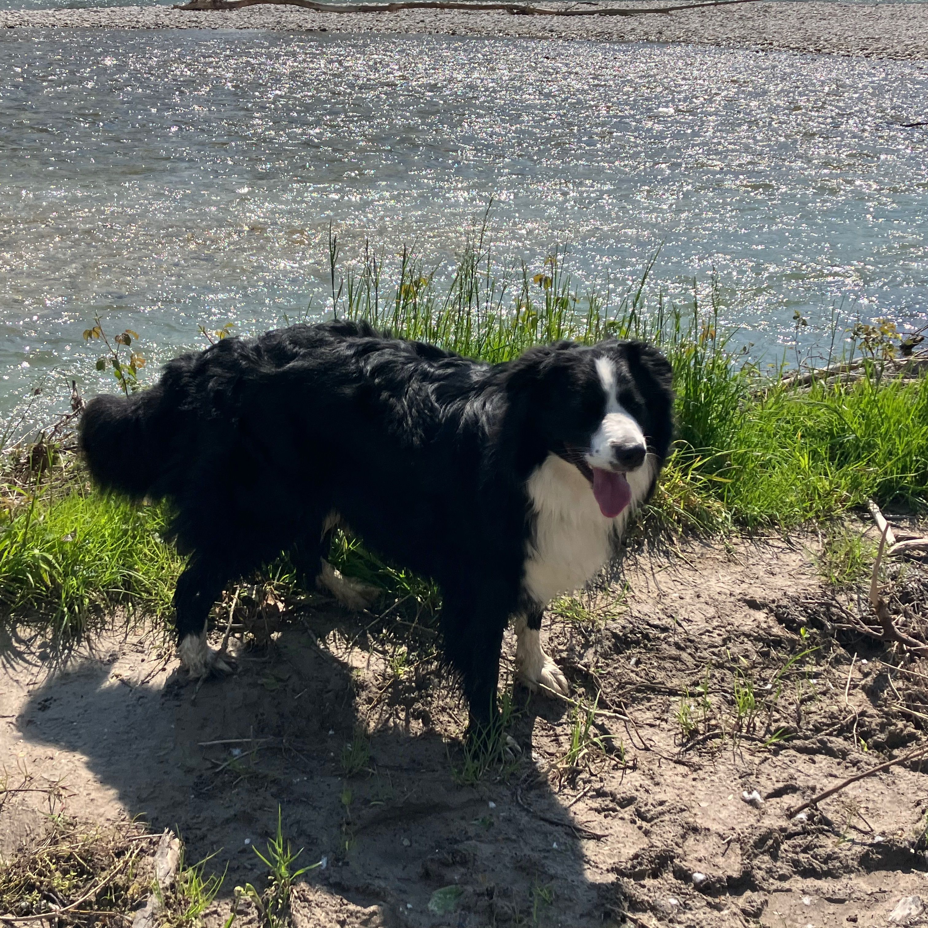 Marley