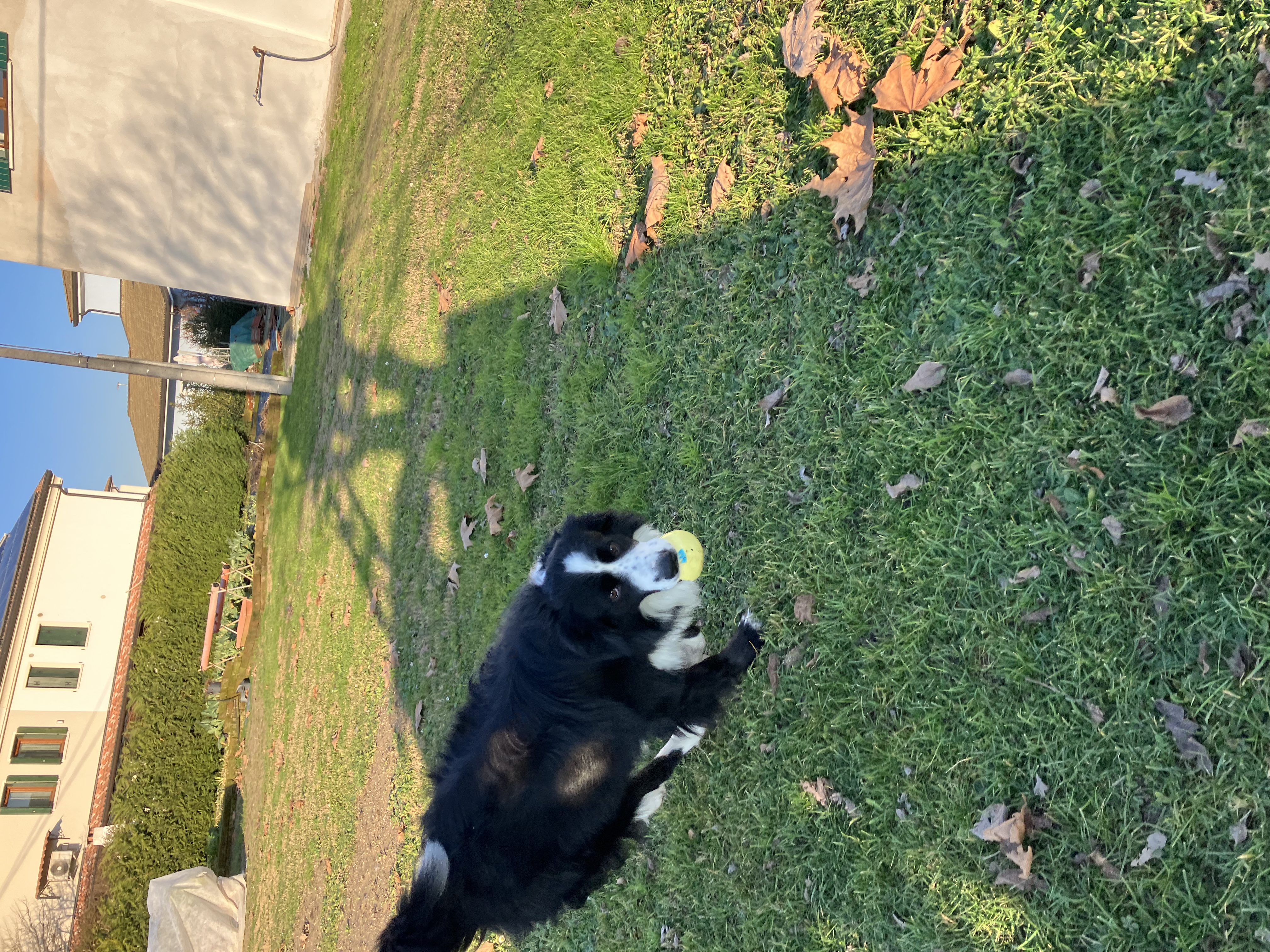 image-18