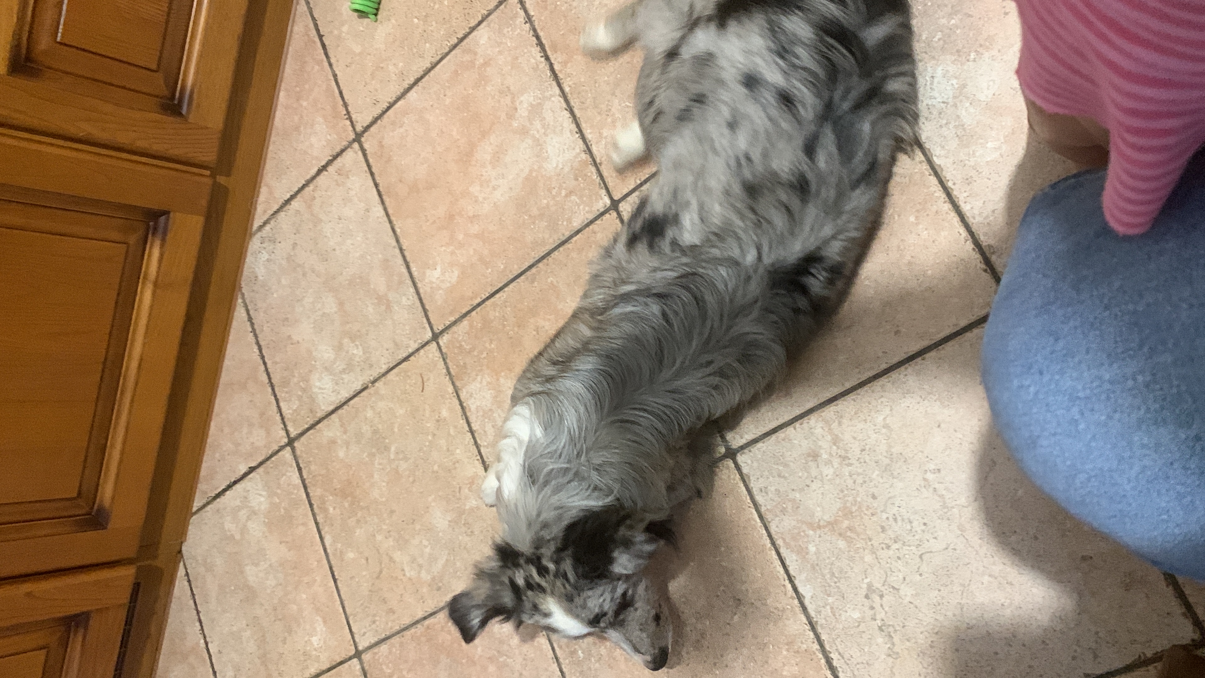 image-13