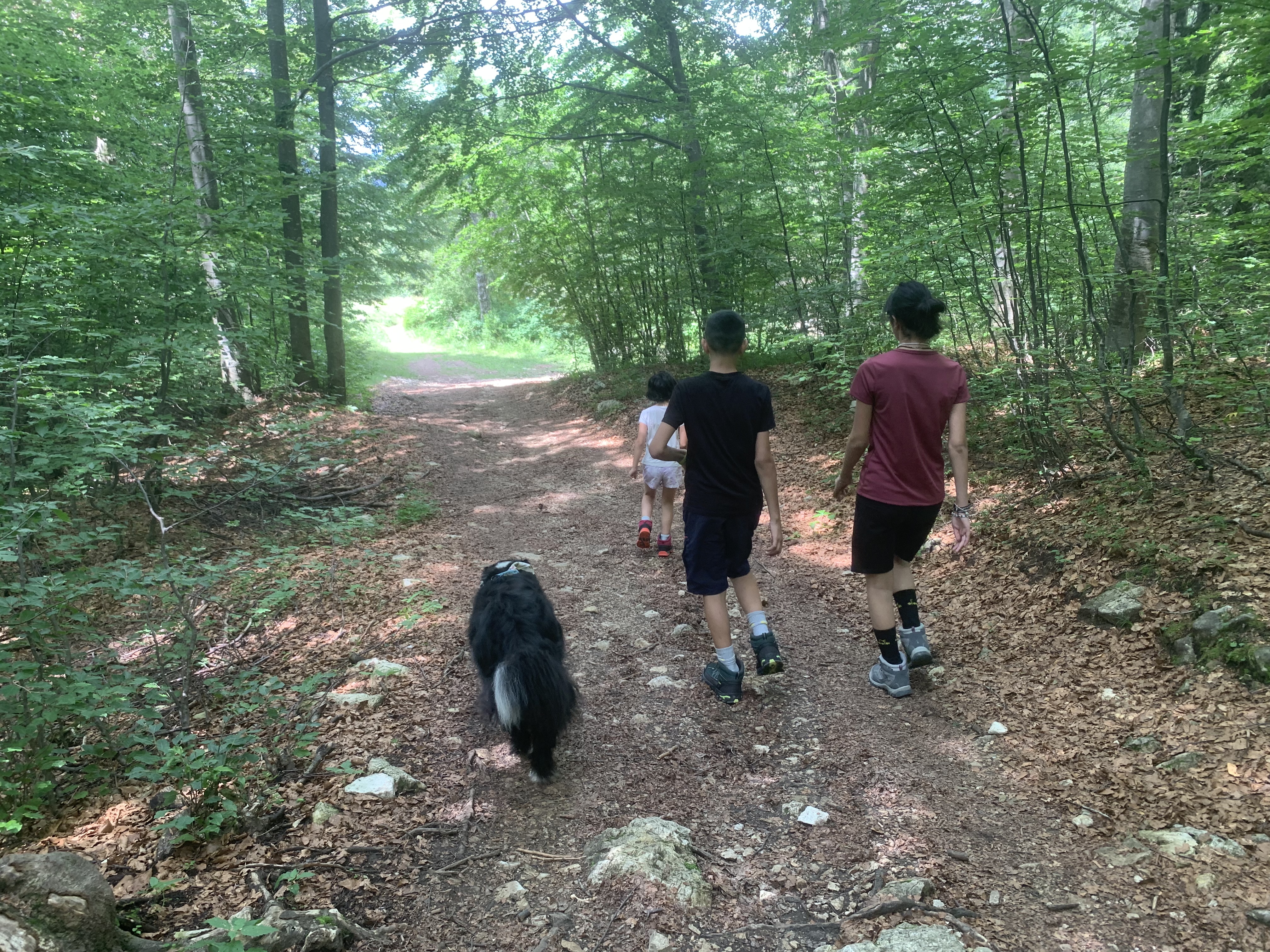 image-16