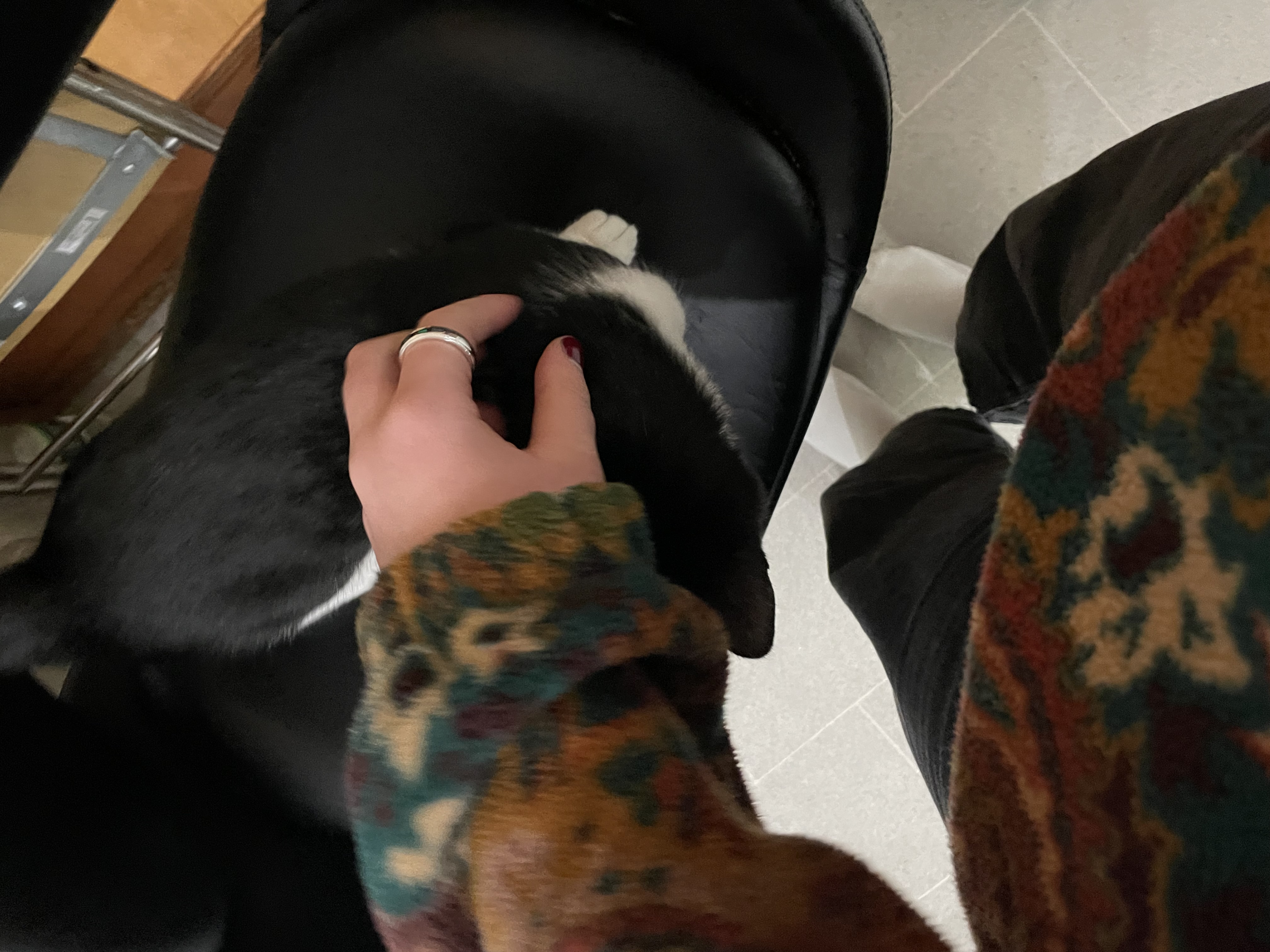 image-3