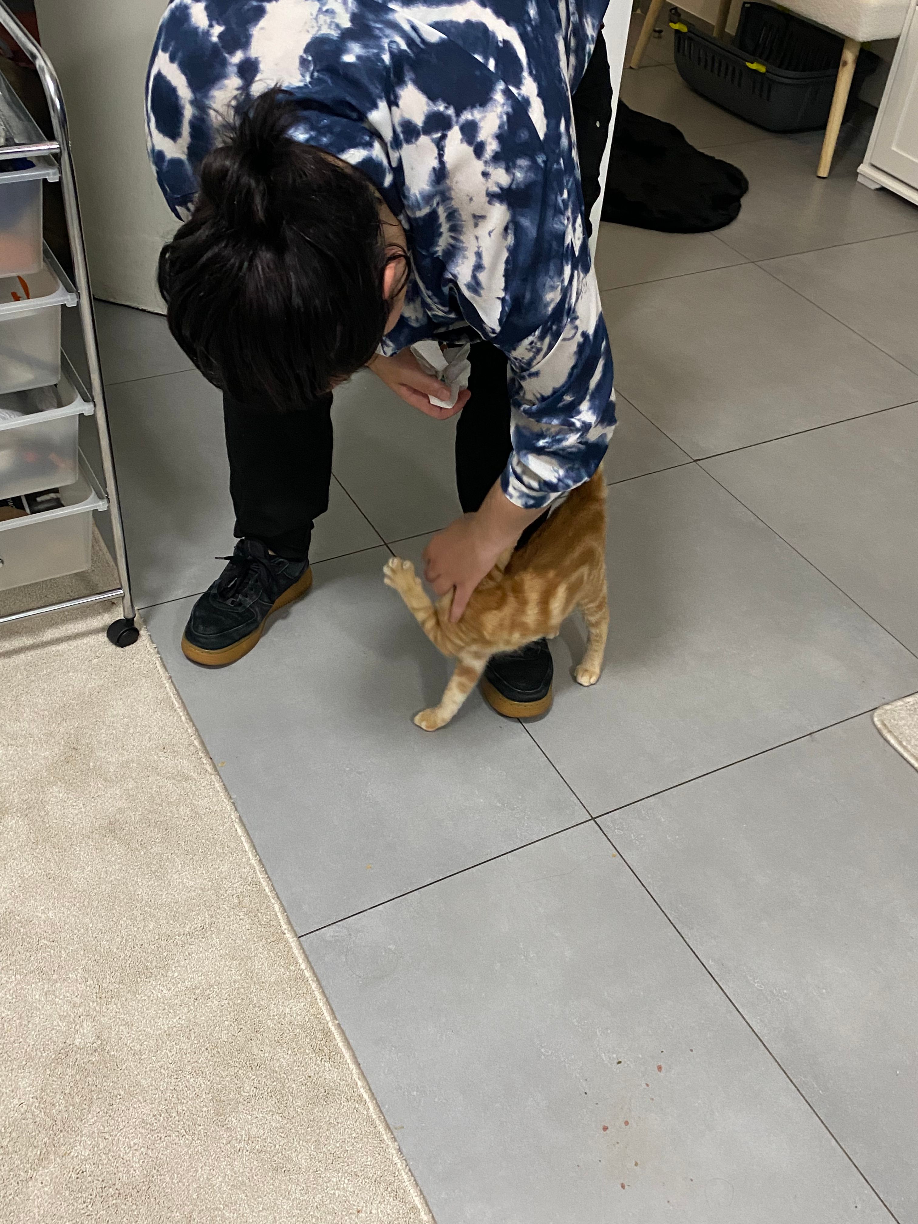 image-9