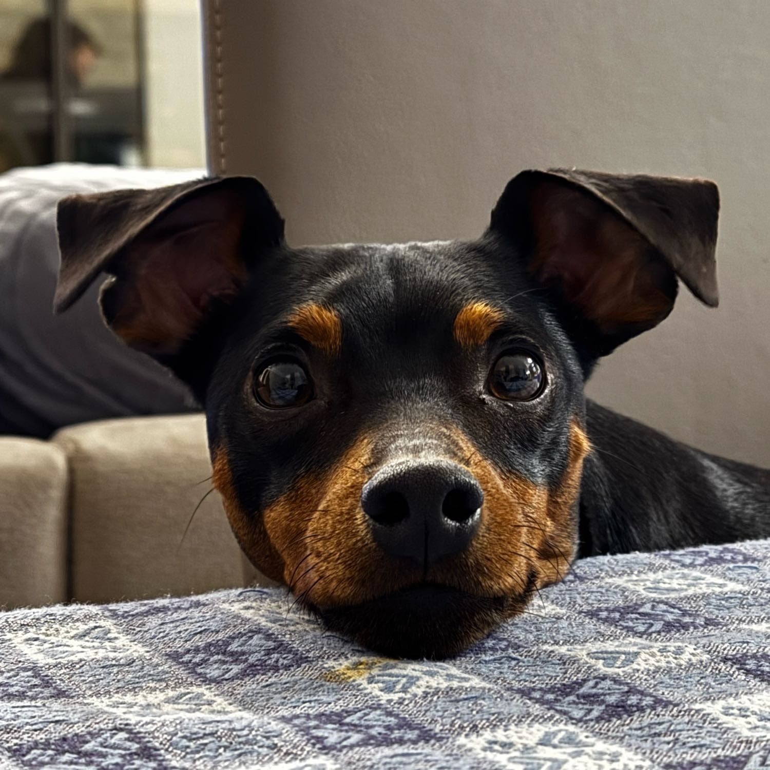 Koby