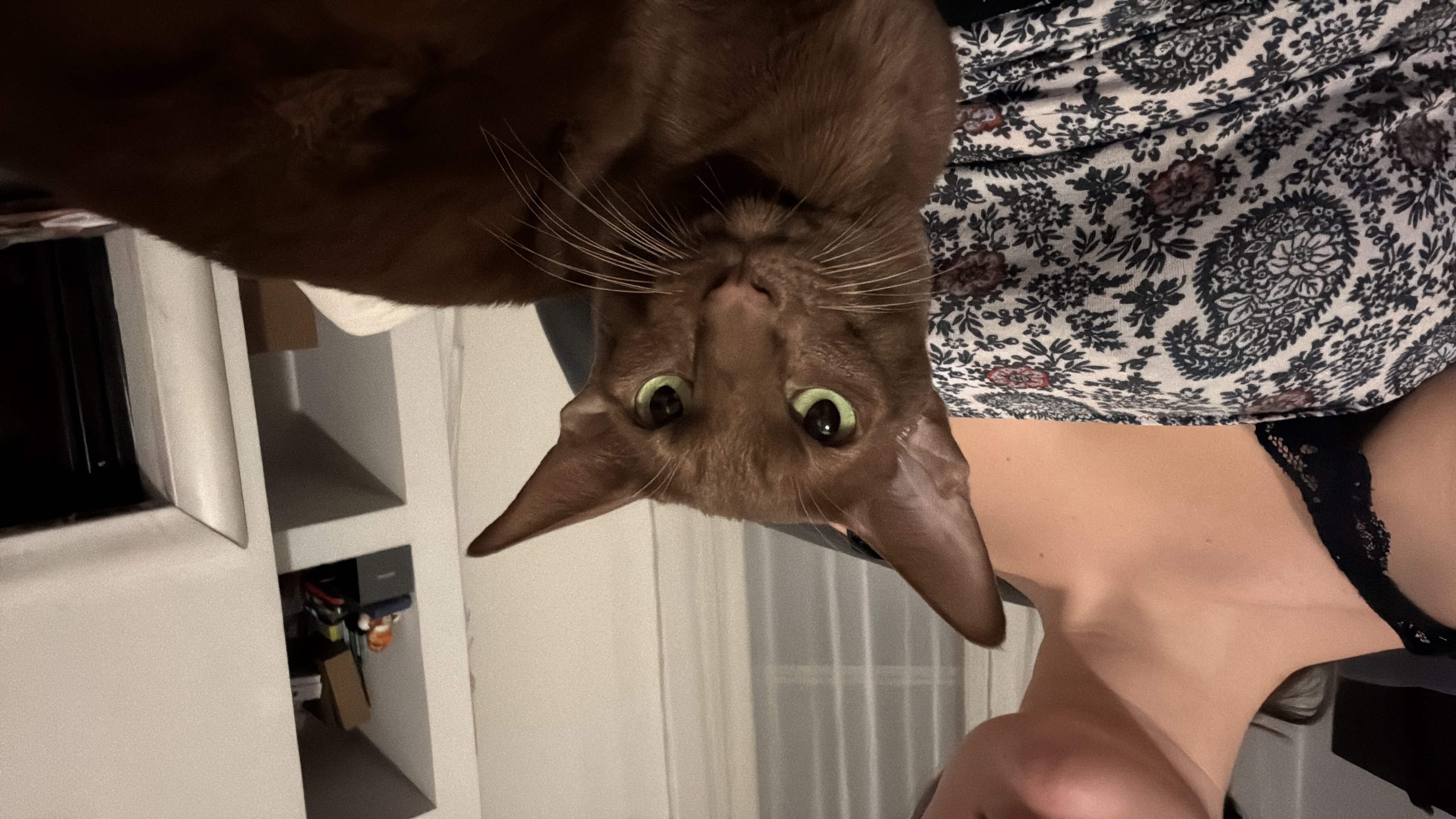 image-8