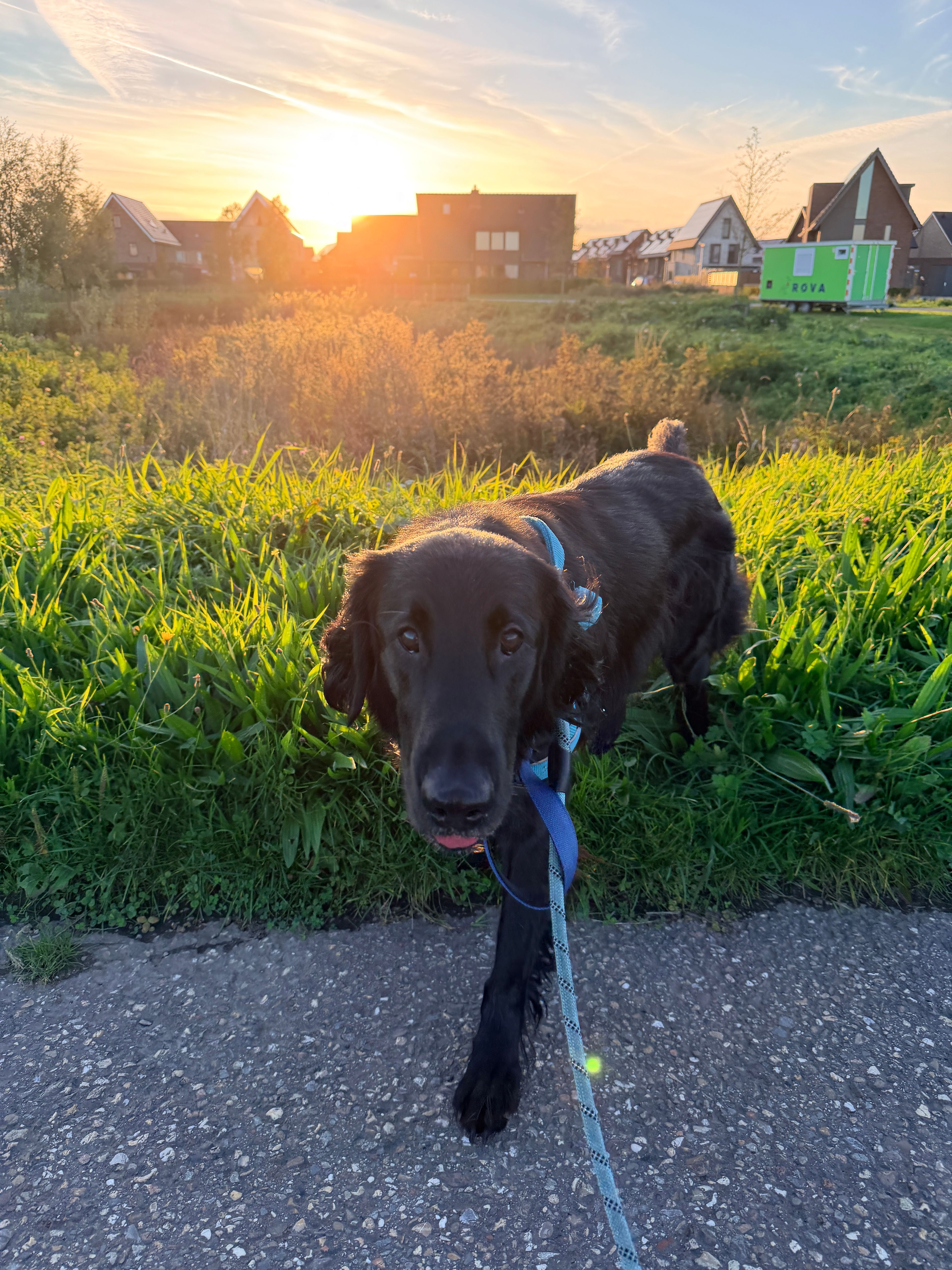 image-20