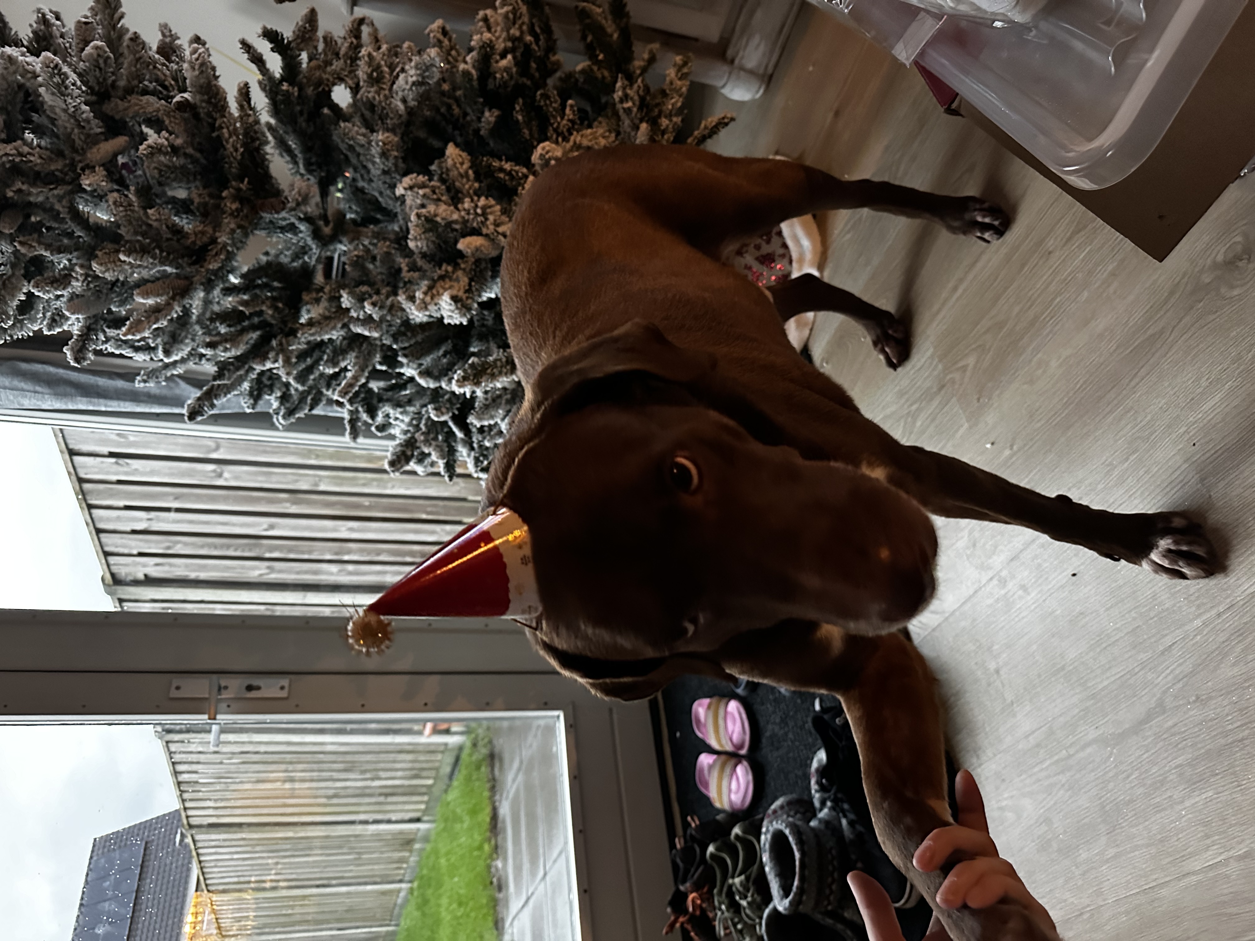 image-16