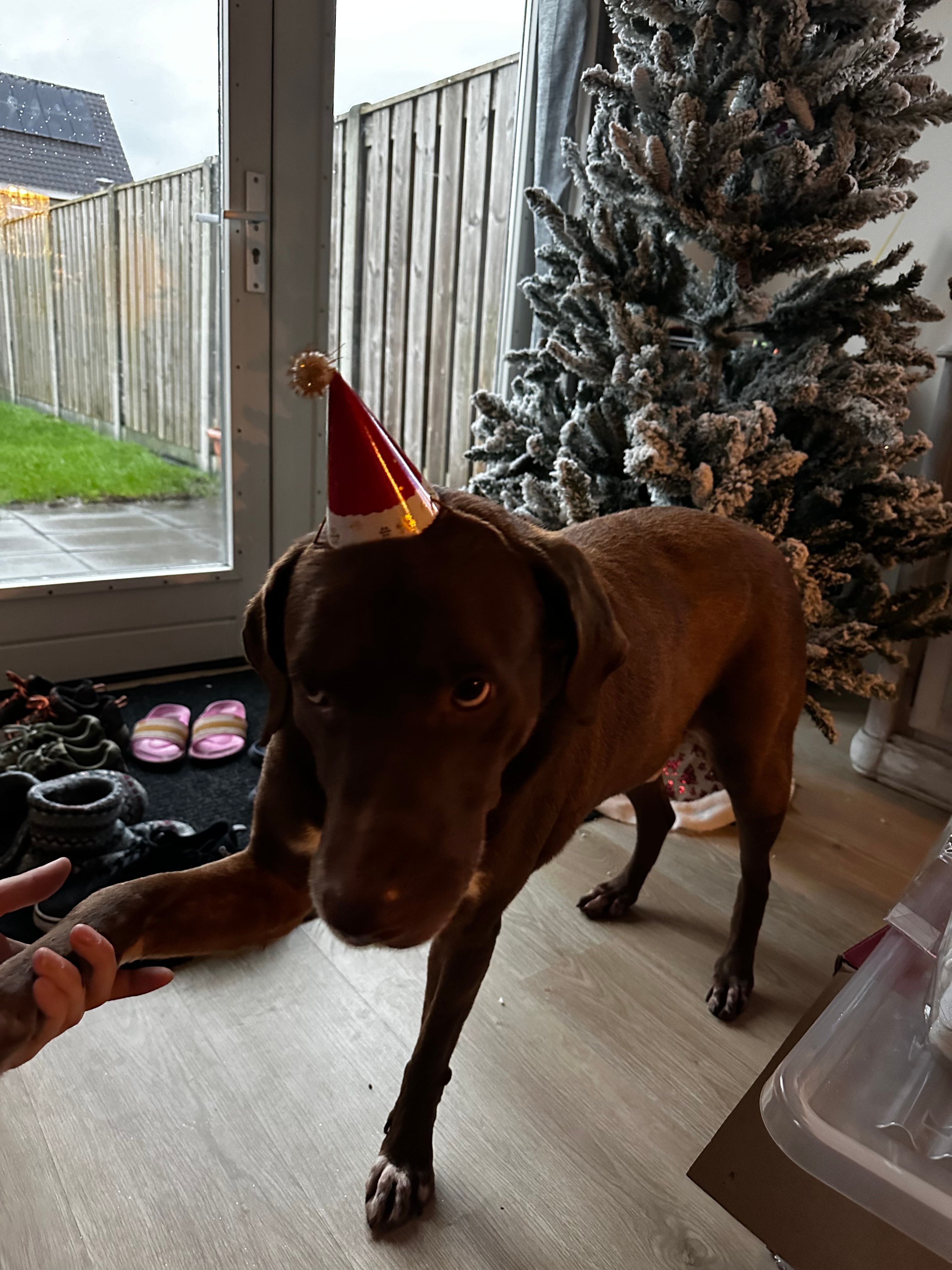 image-16