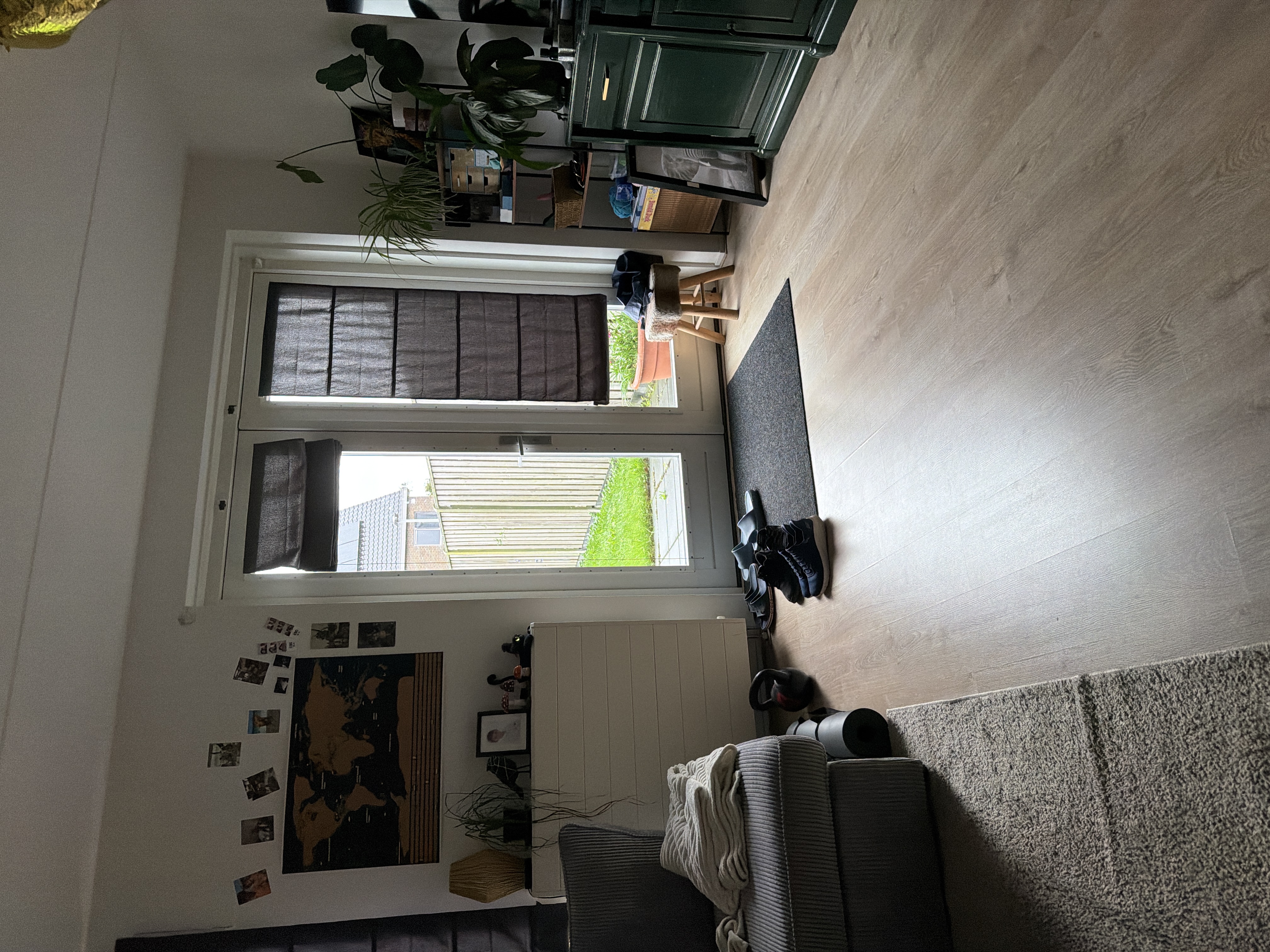 image-19