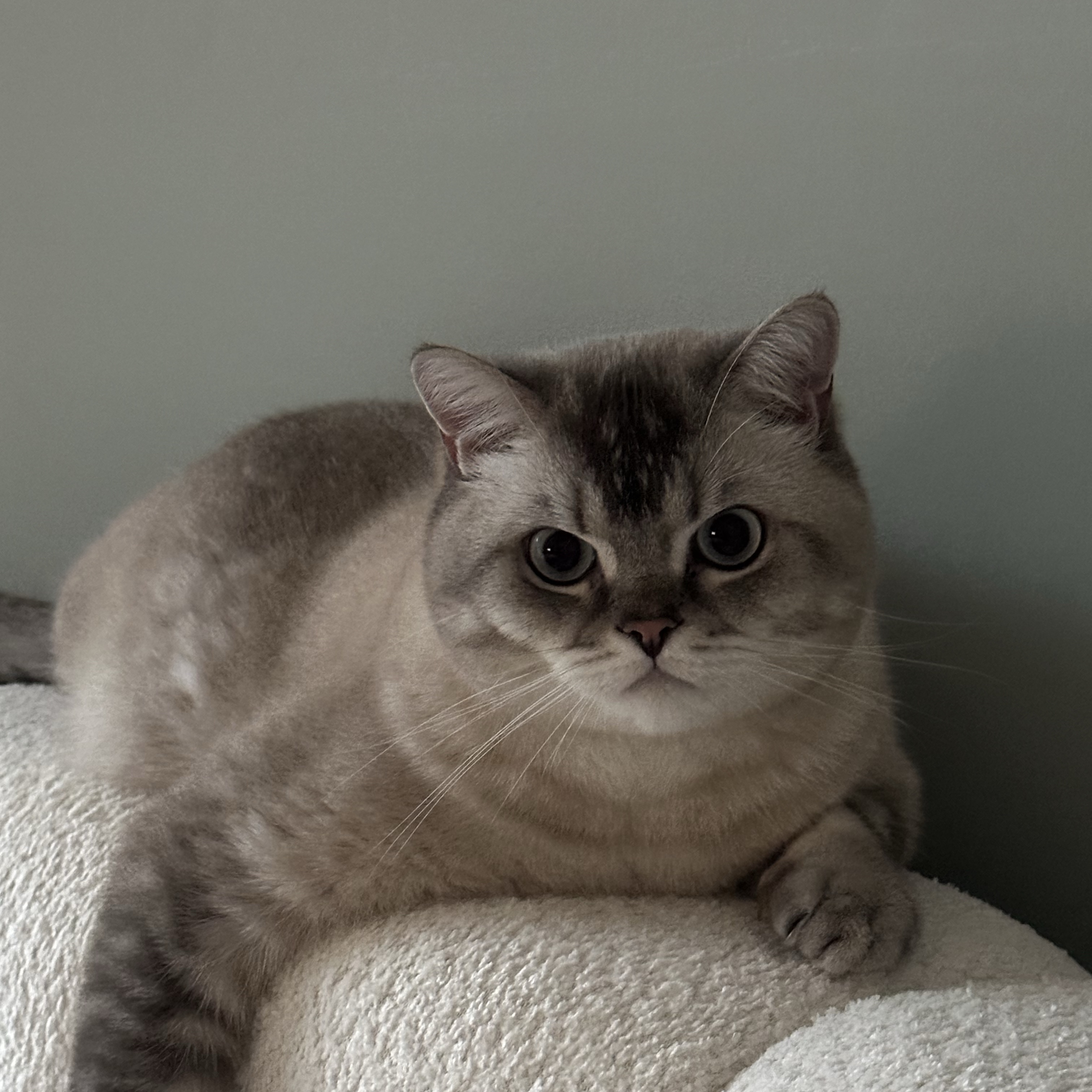 Theo