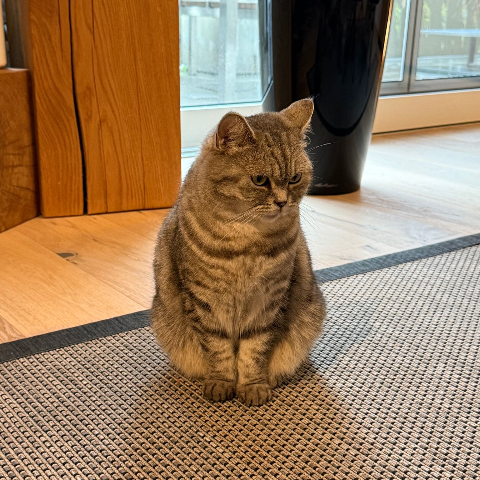 Mia