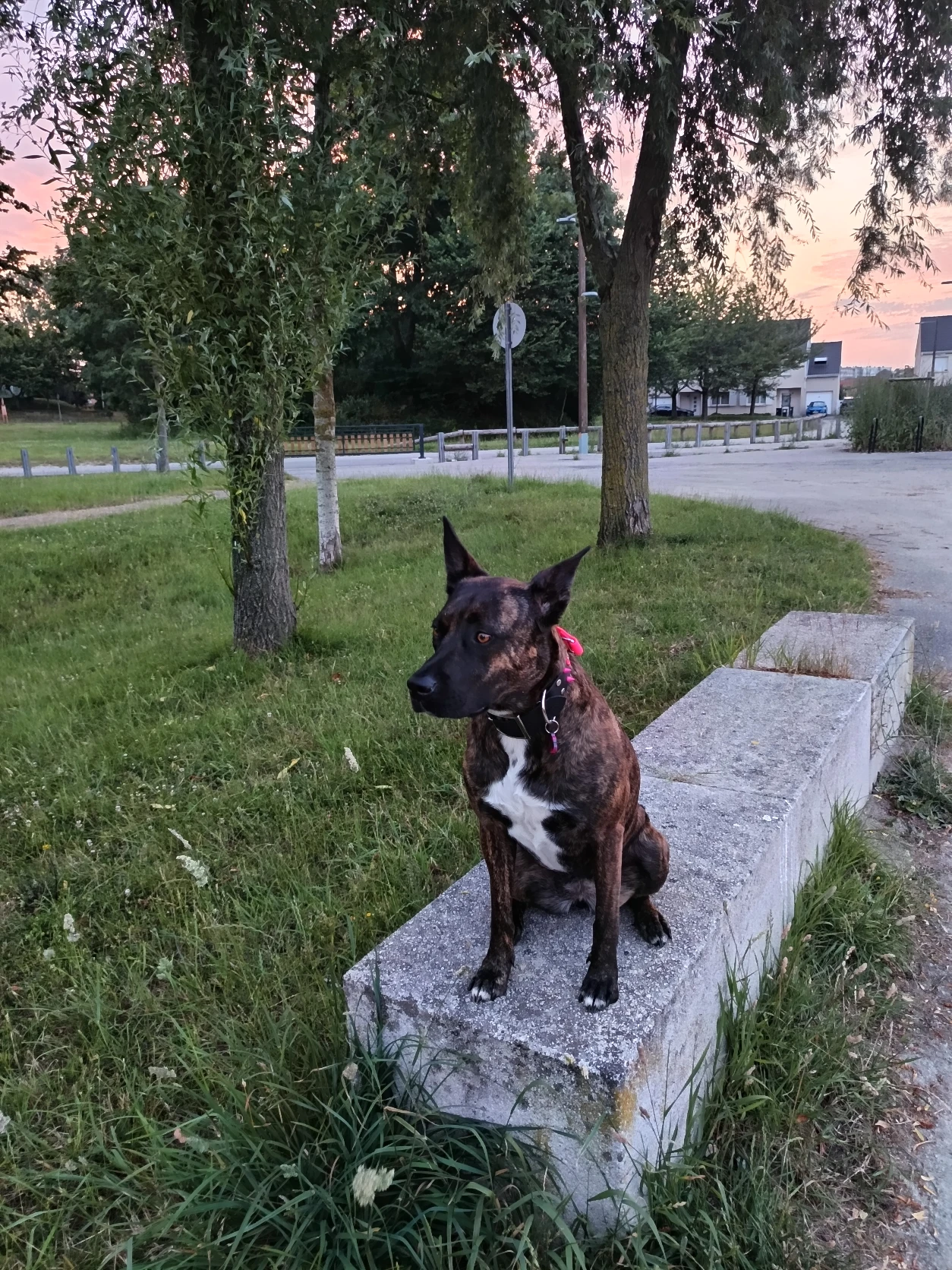image-9