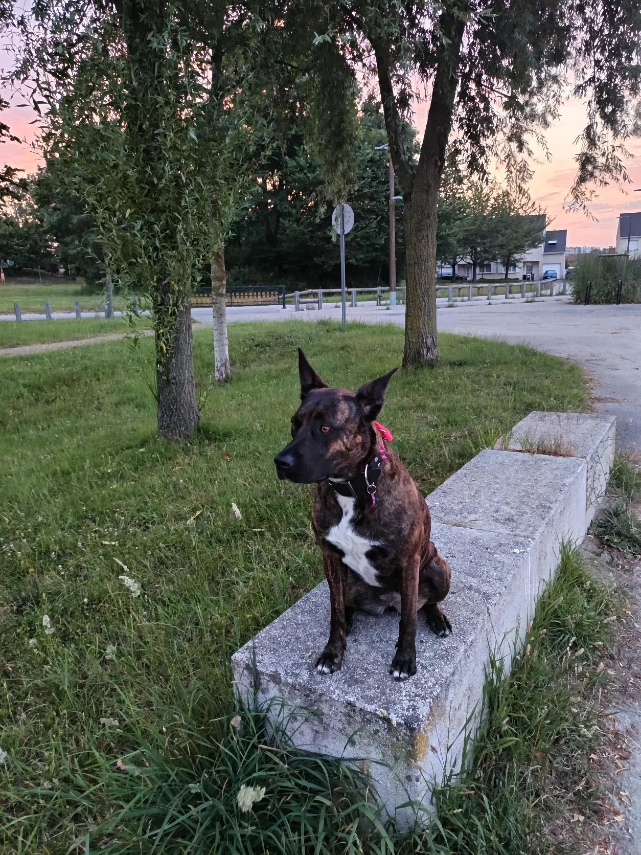 image-9