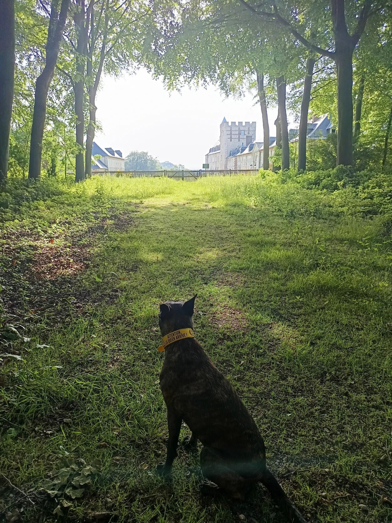 image-10