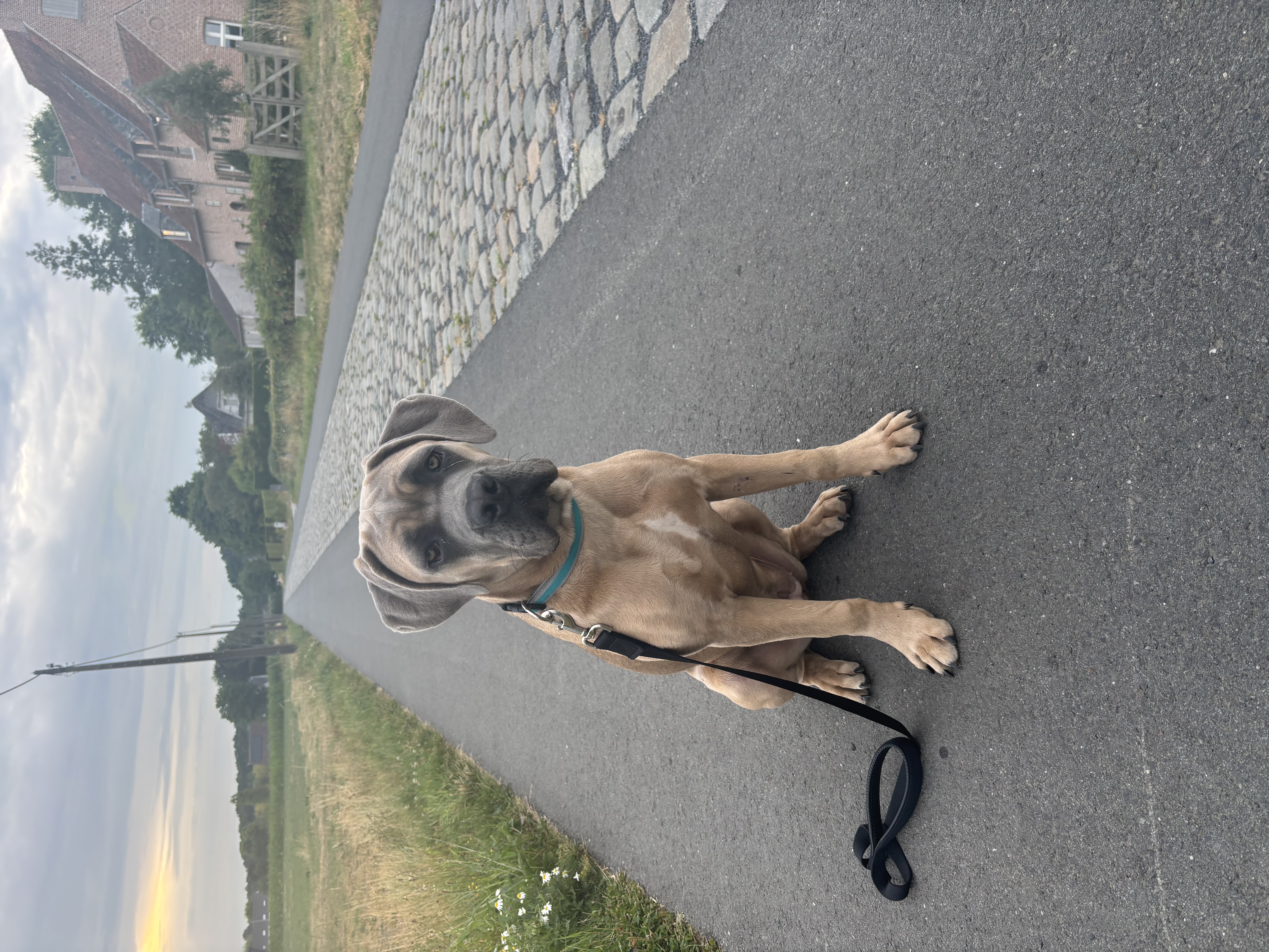 image-9