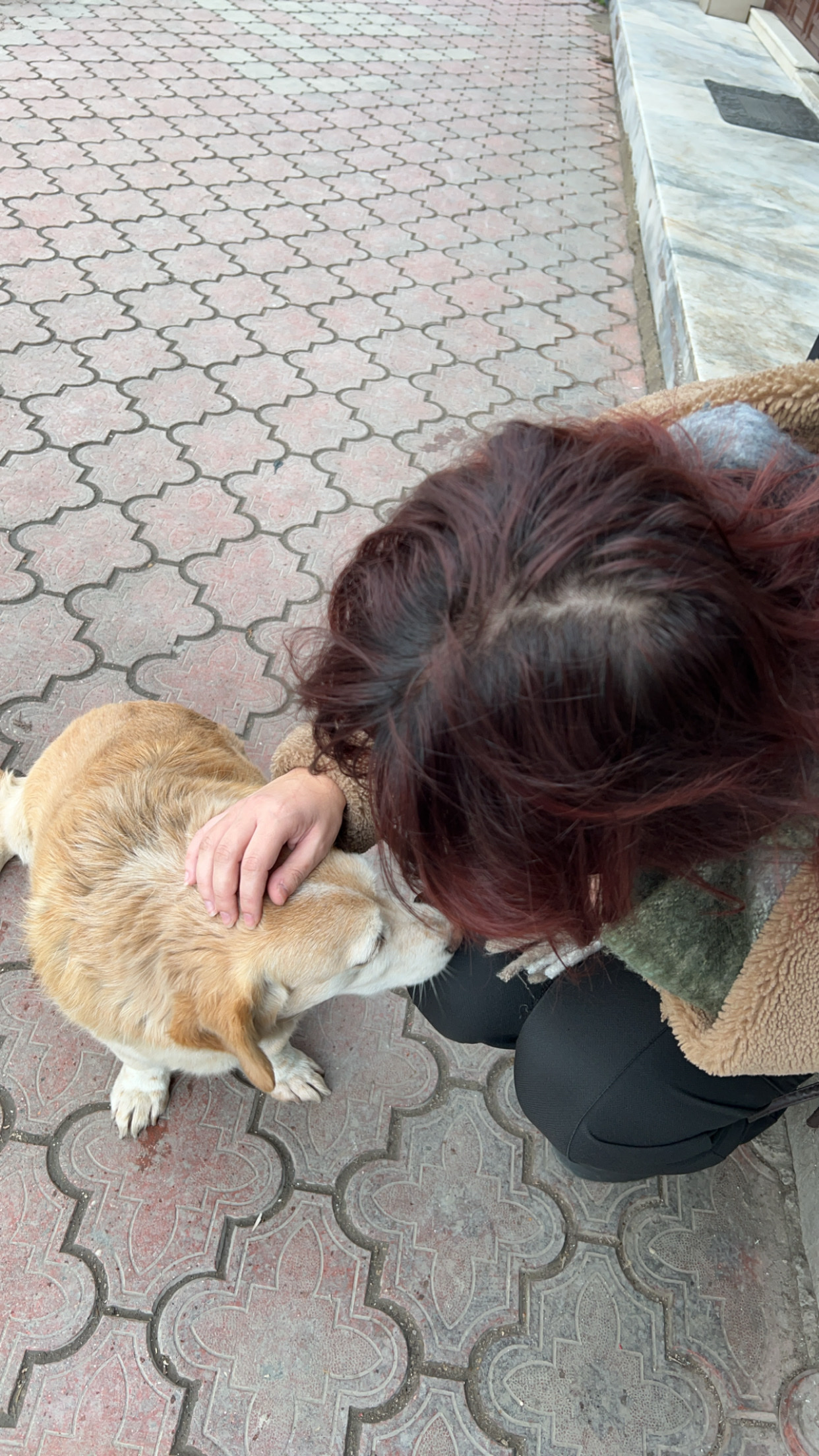 image-5