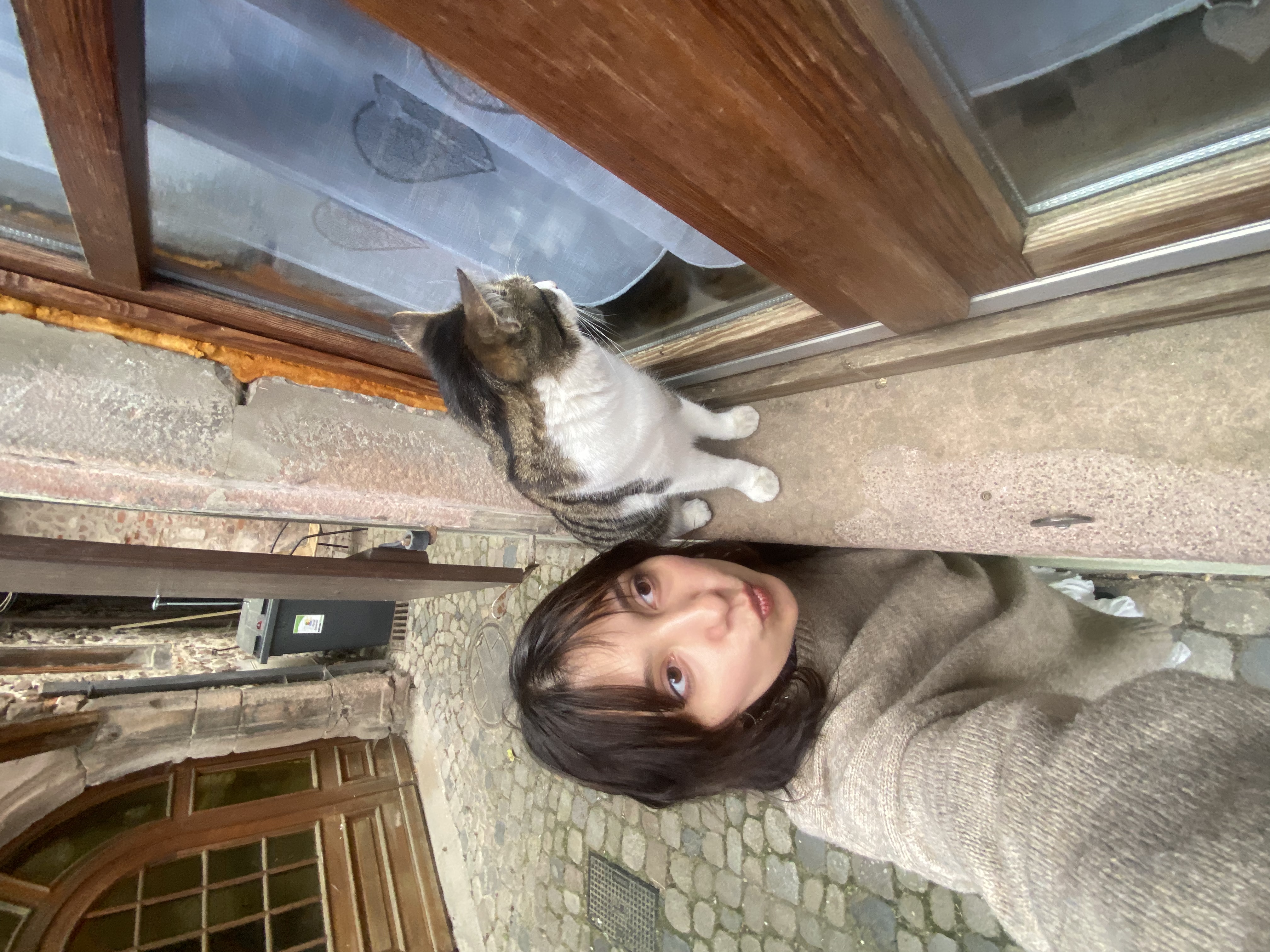 image-9