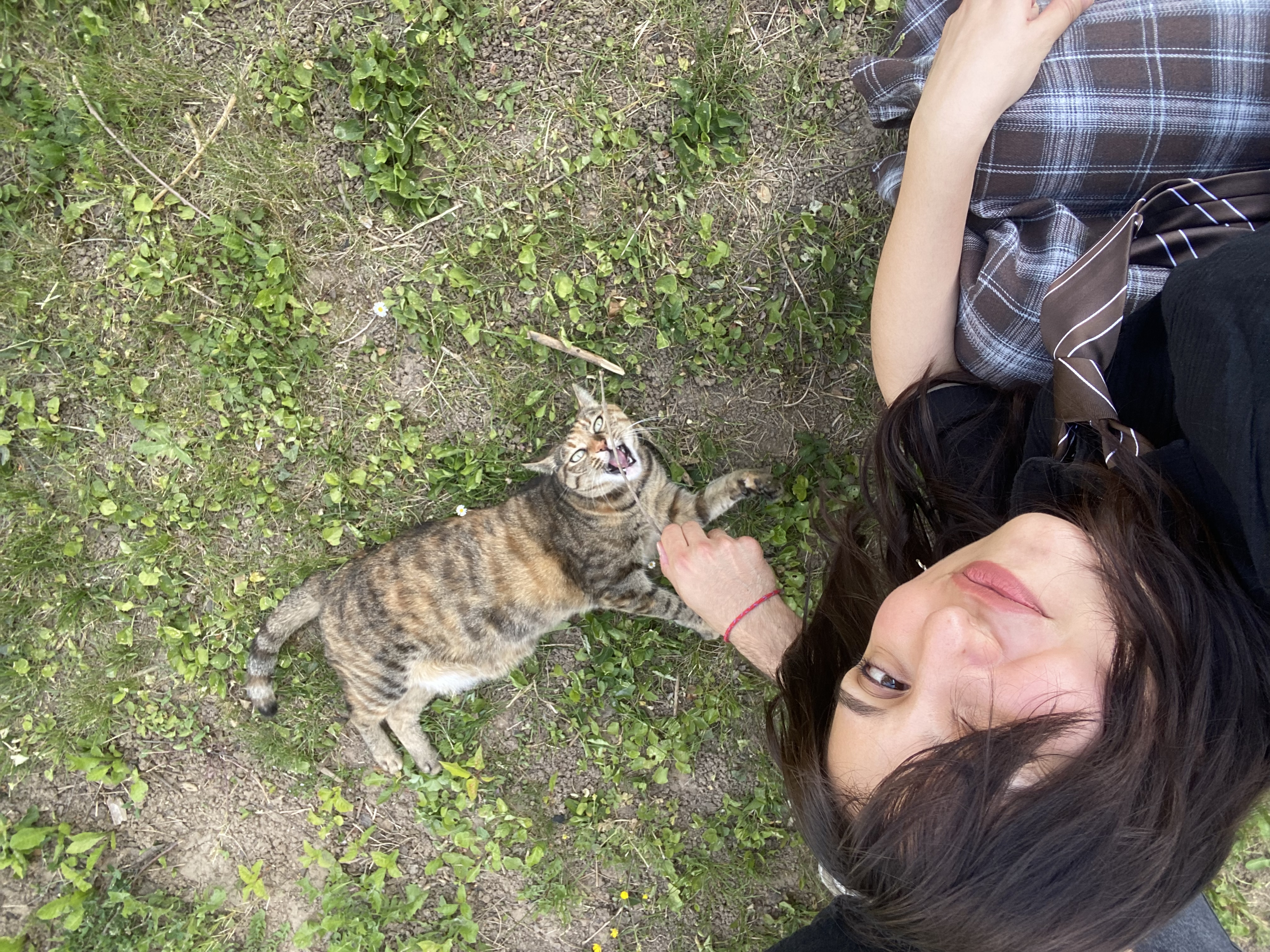 image-10