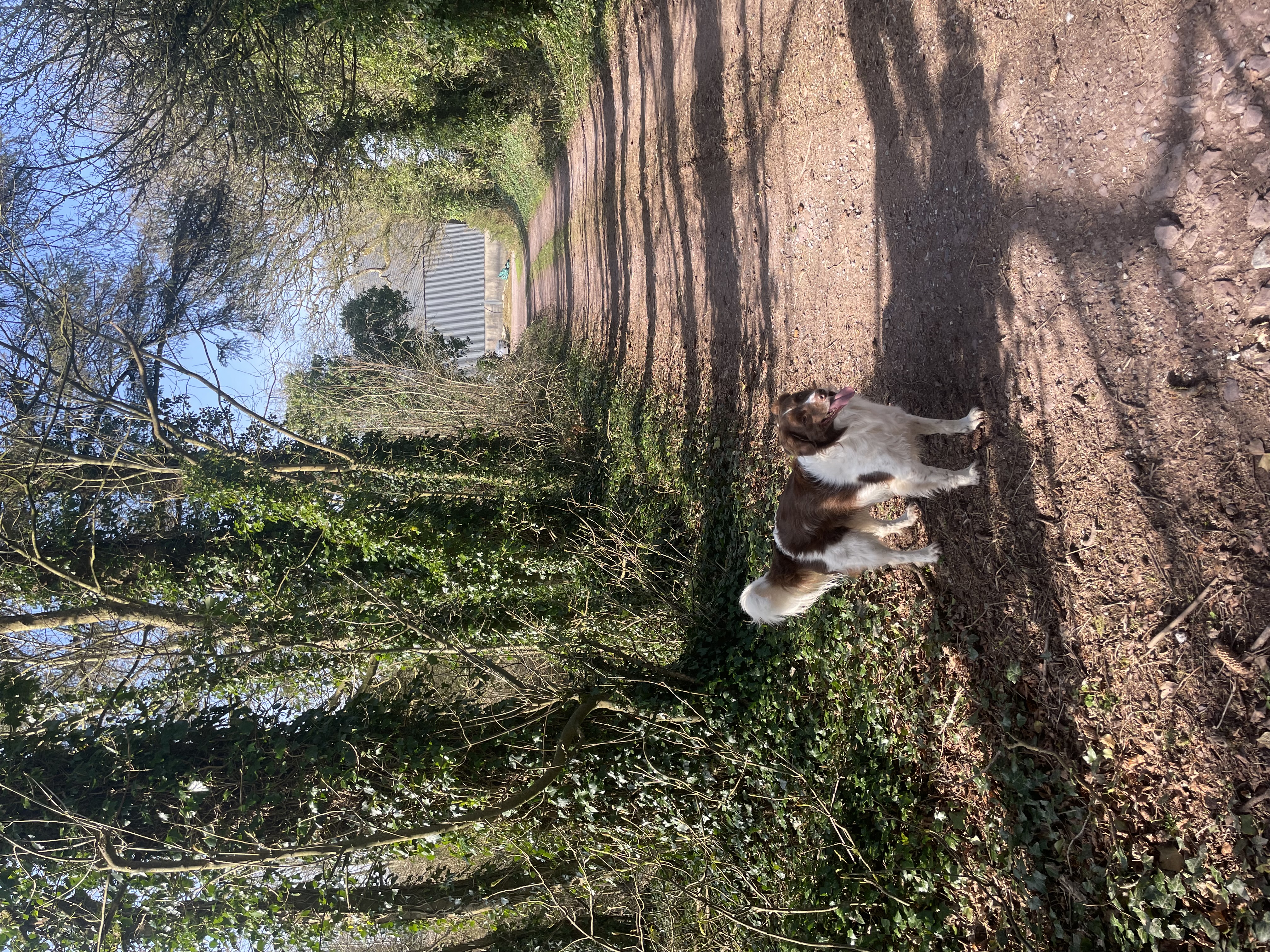 image-7