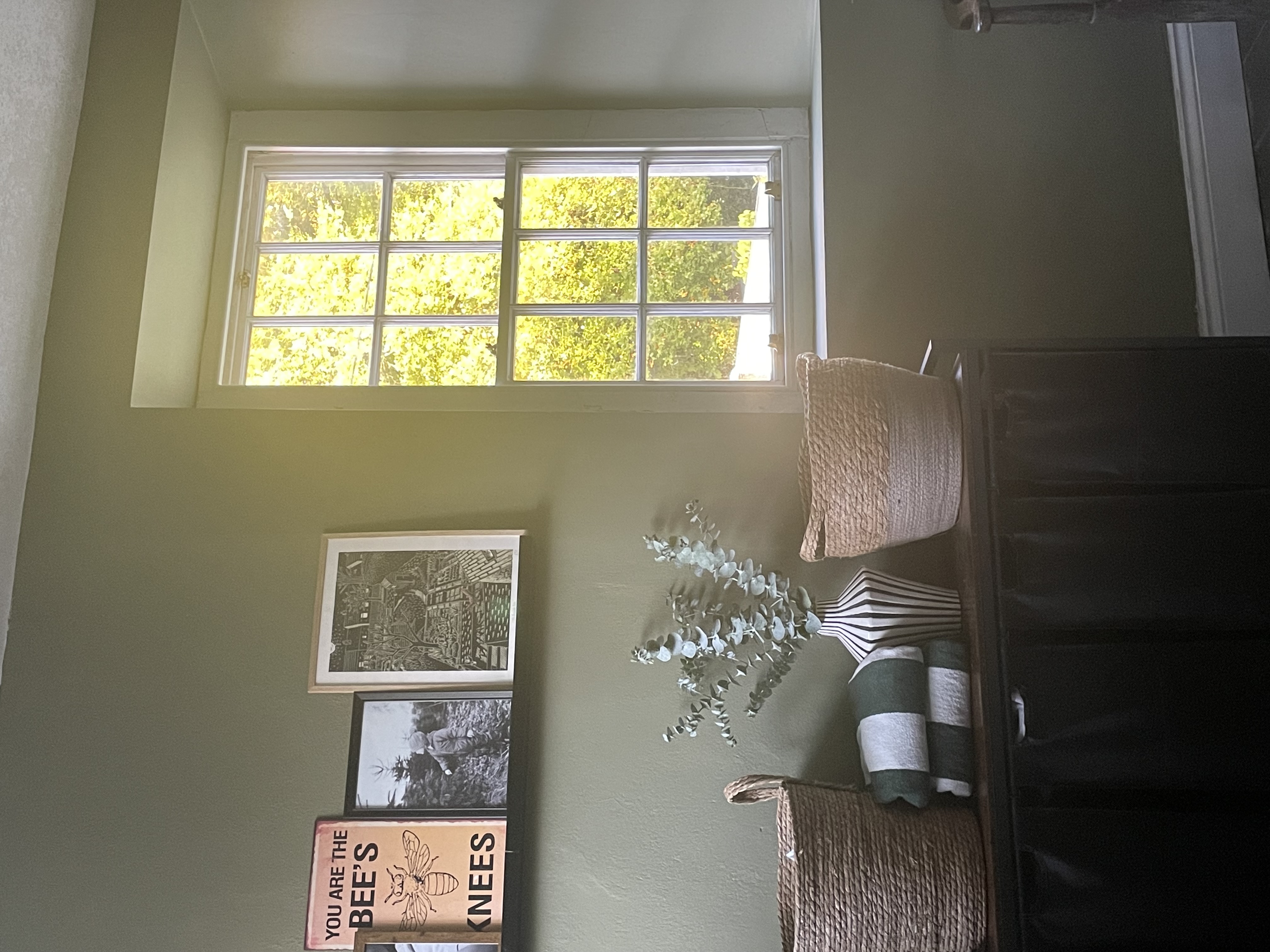 image-19
