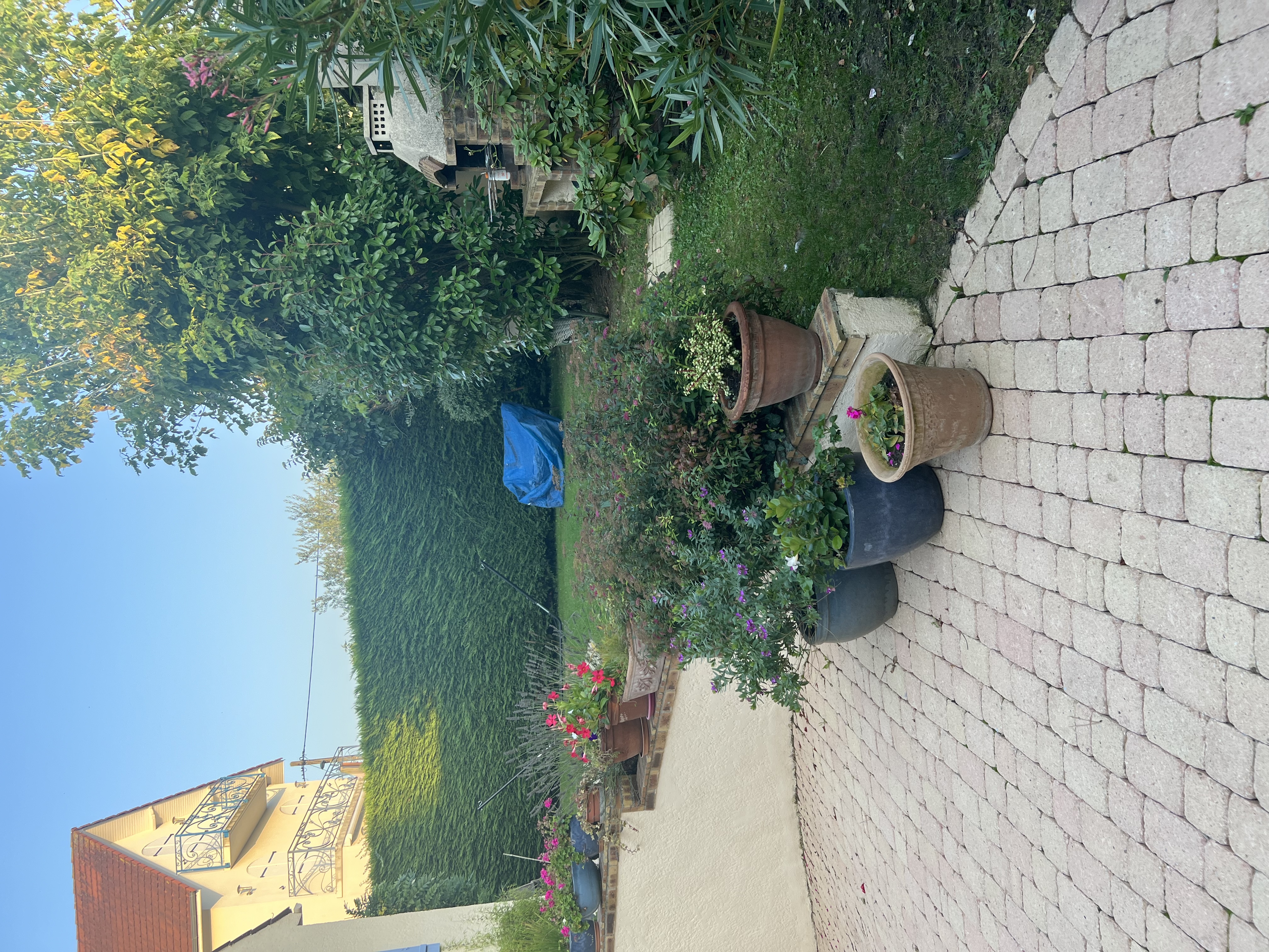 image-24