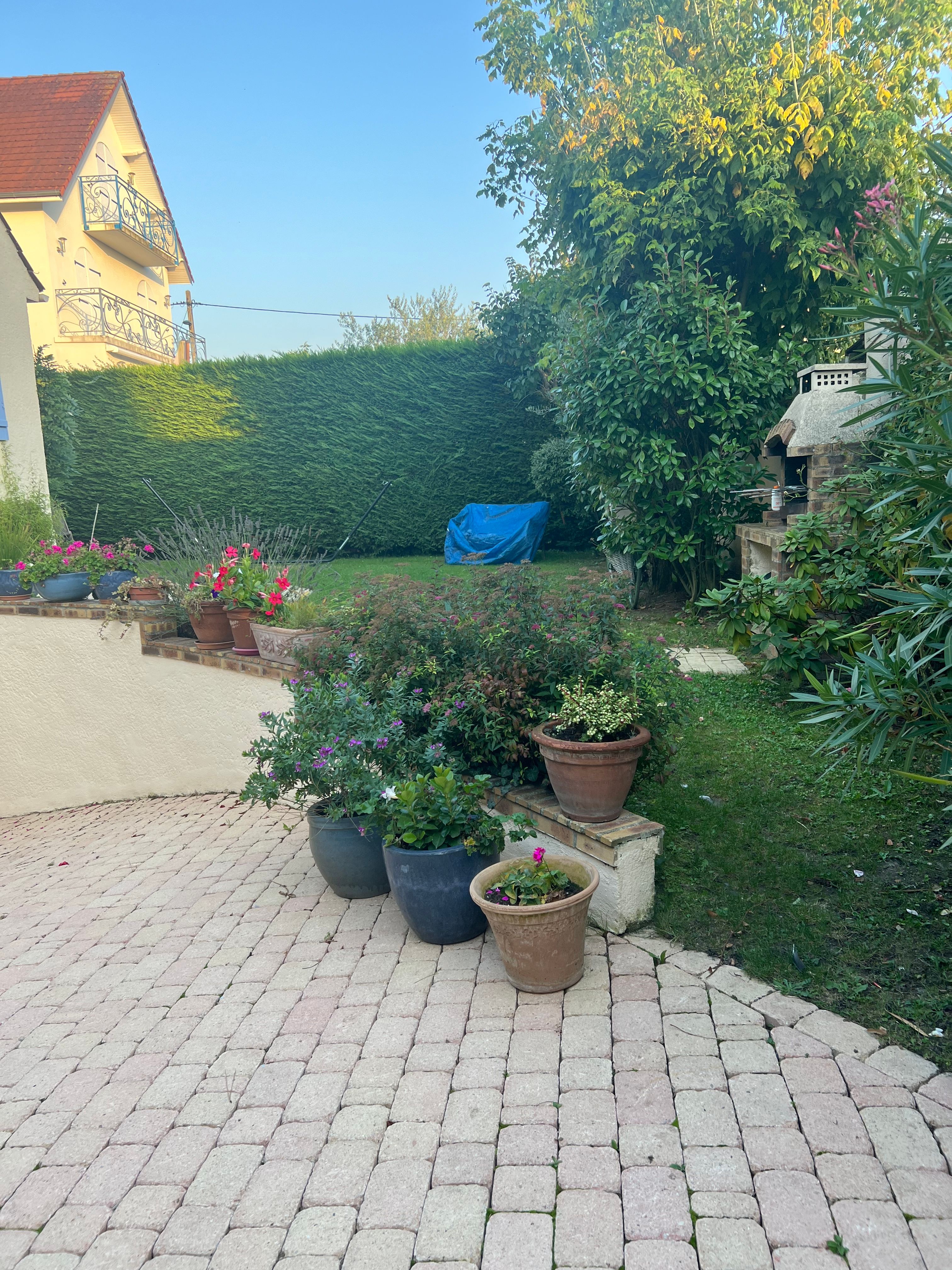 image-24