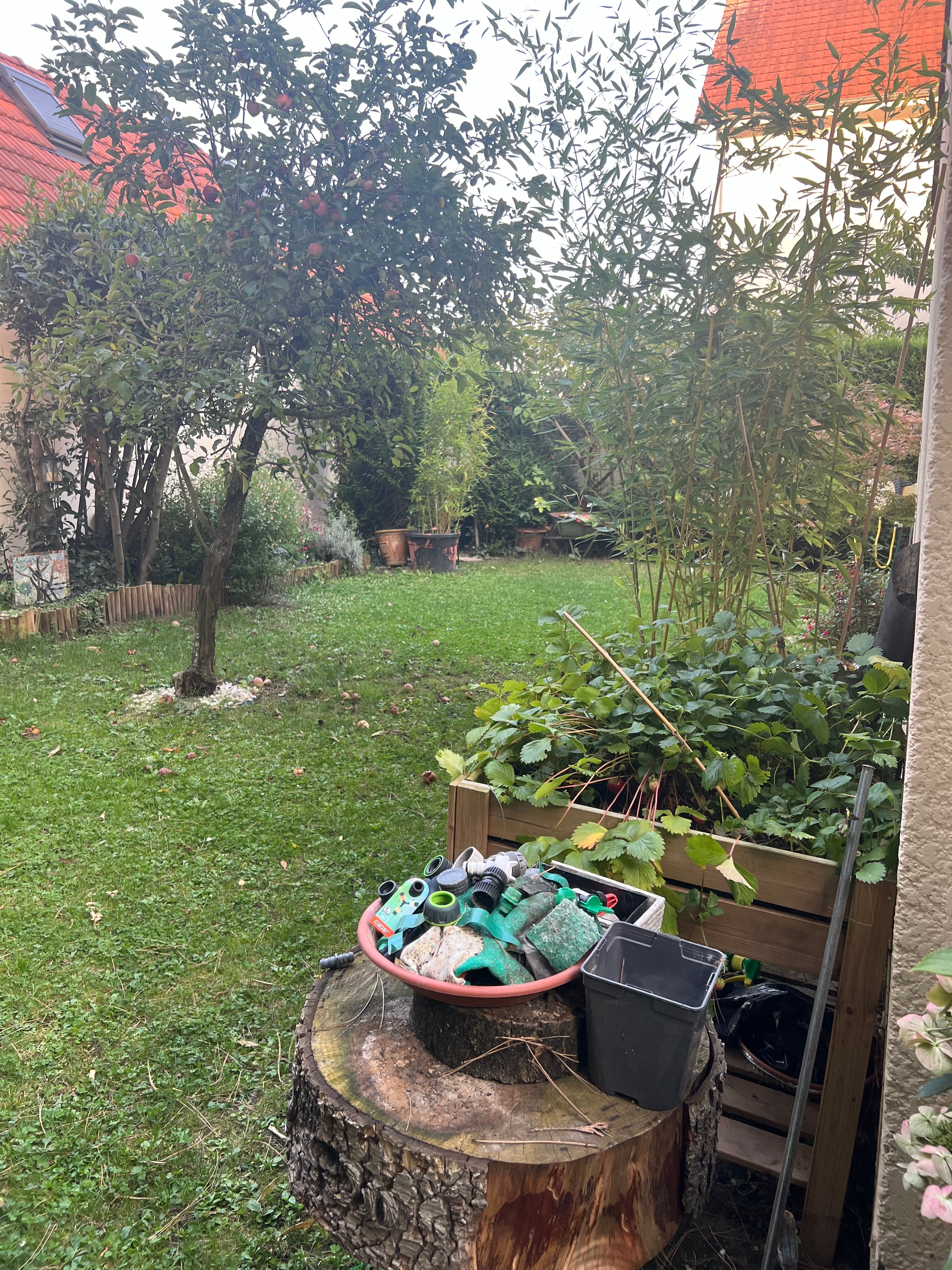 image-26