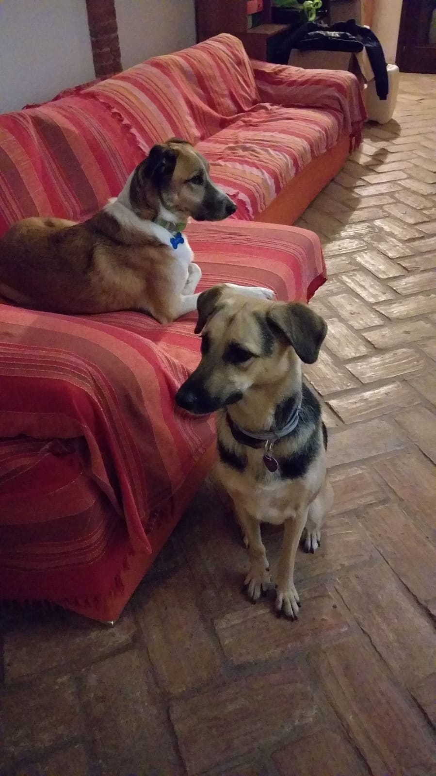 image-8