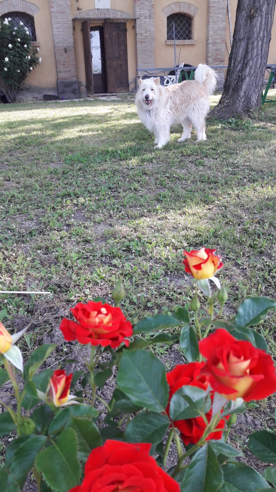 image-13