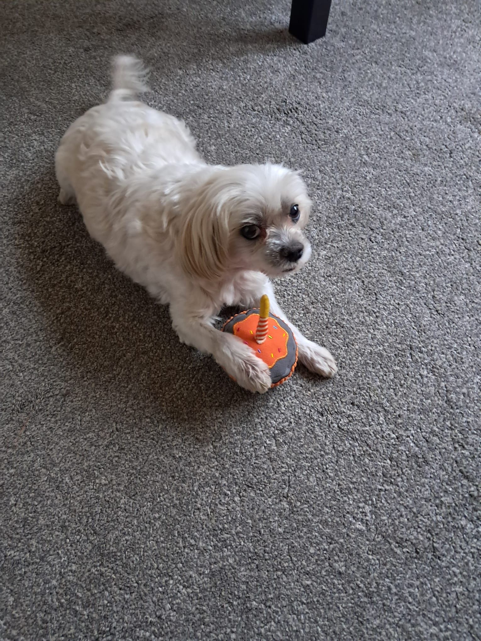 image-5