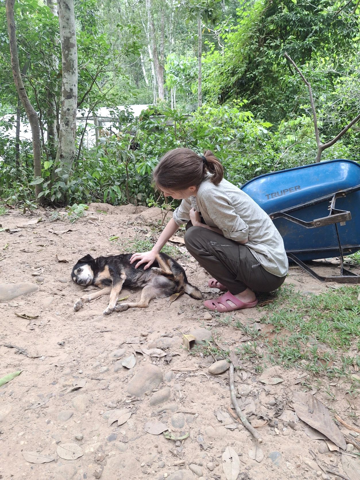 image-8