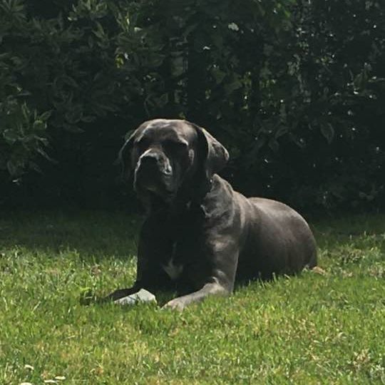 Molly