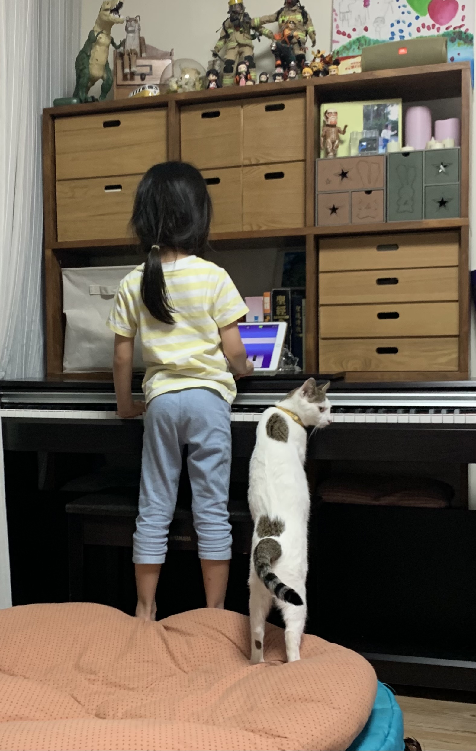 image-7