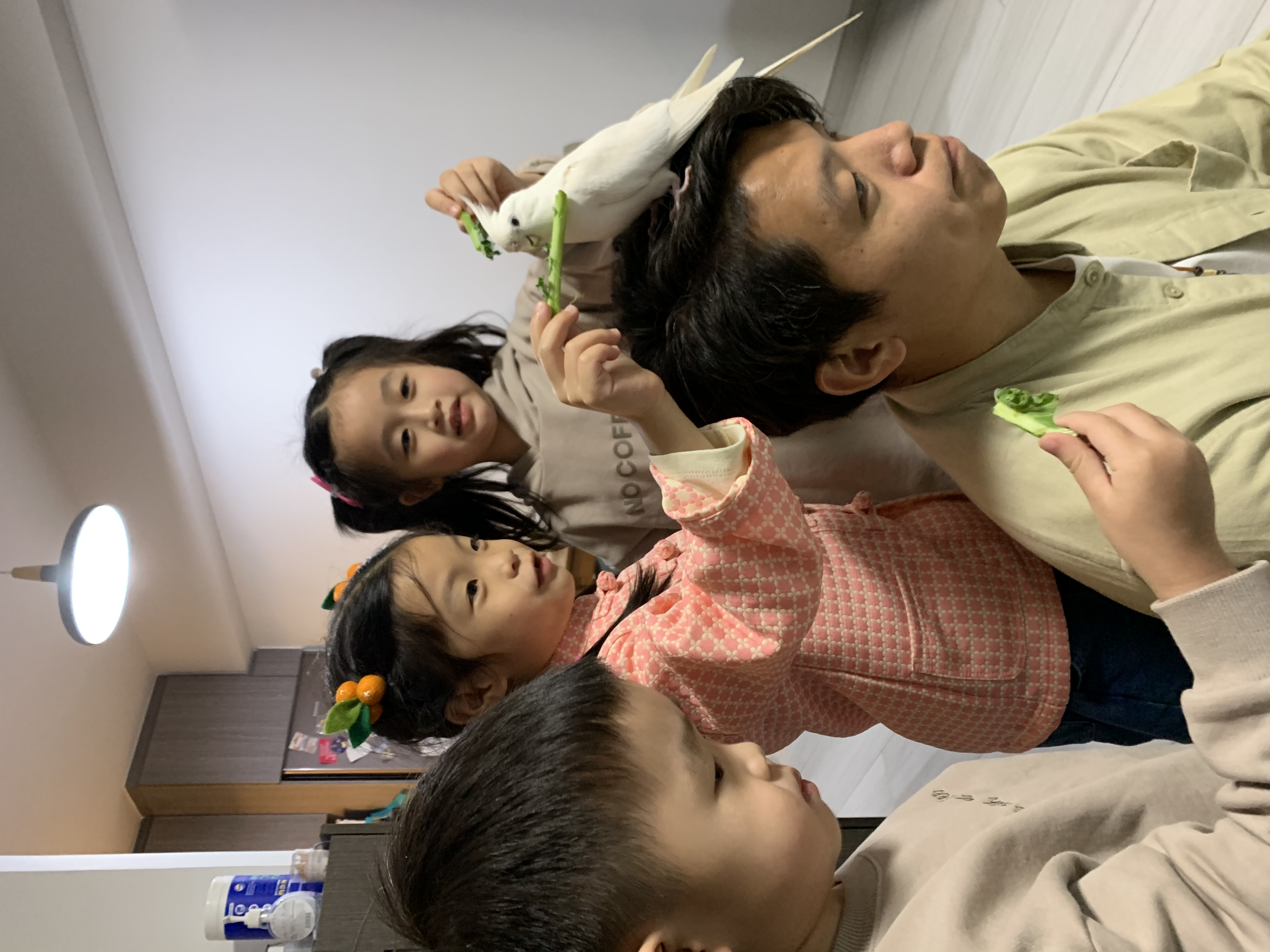 image-18