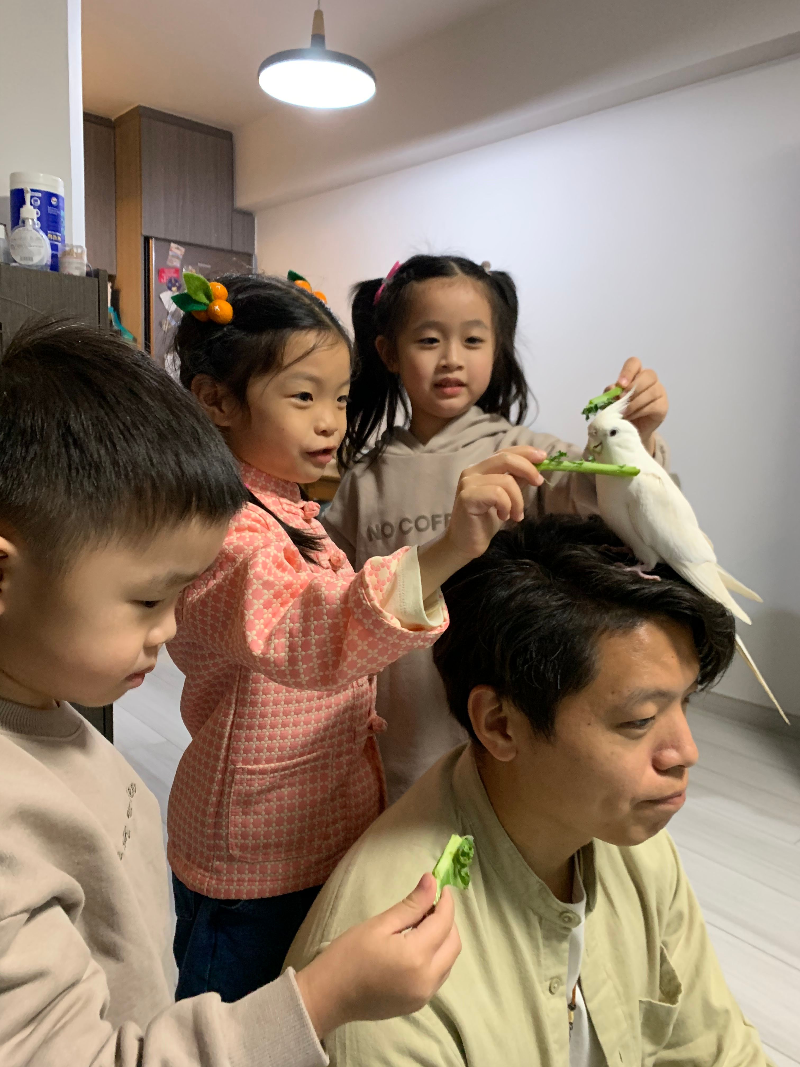 image-18