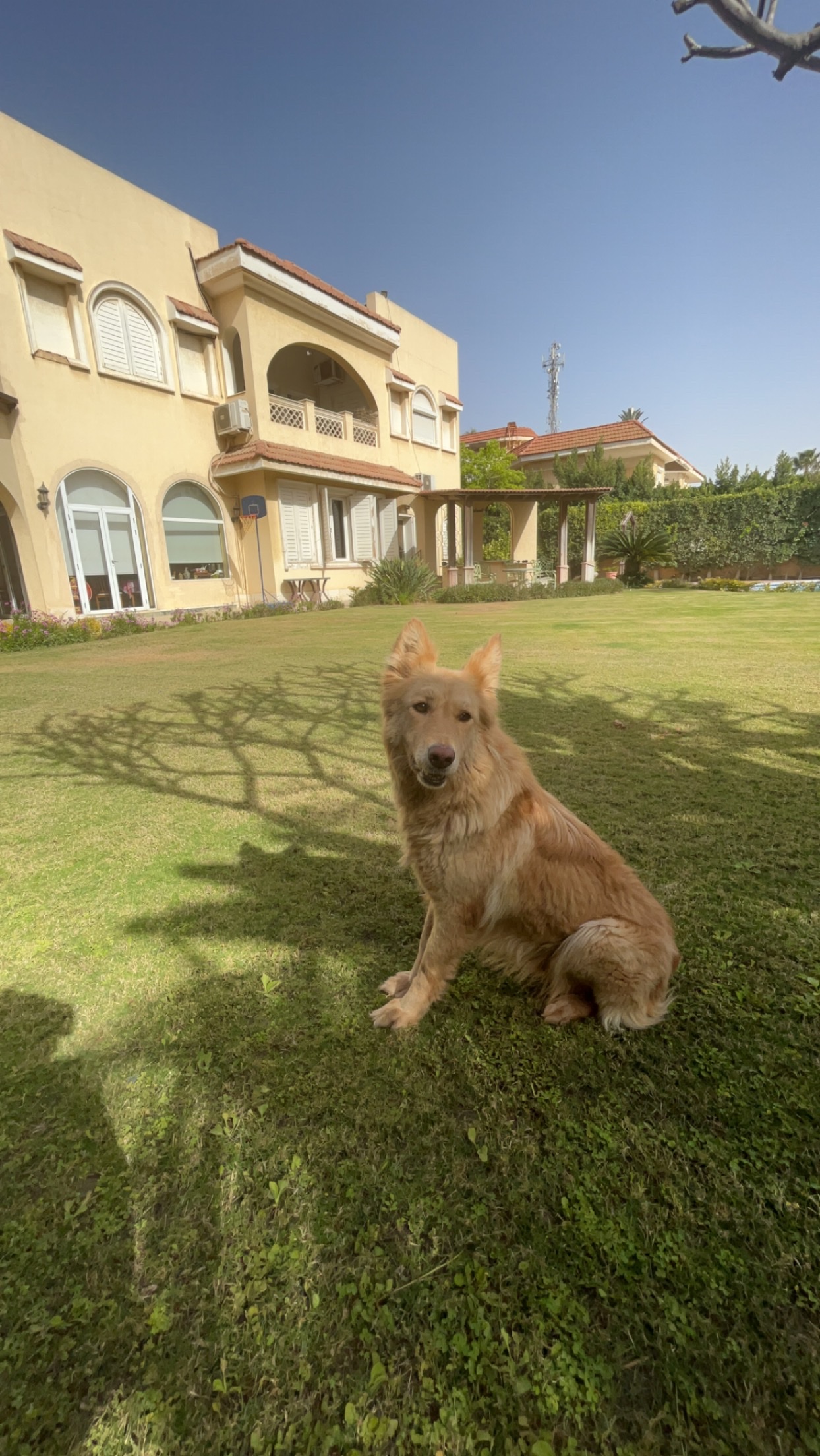 image-8