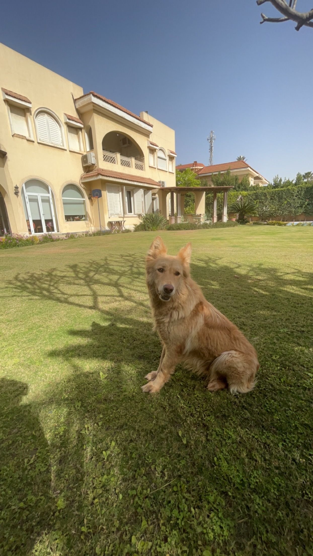 image-8