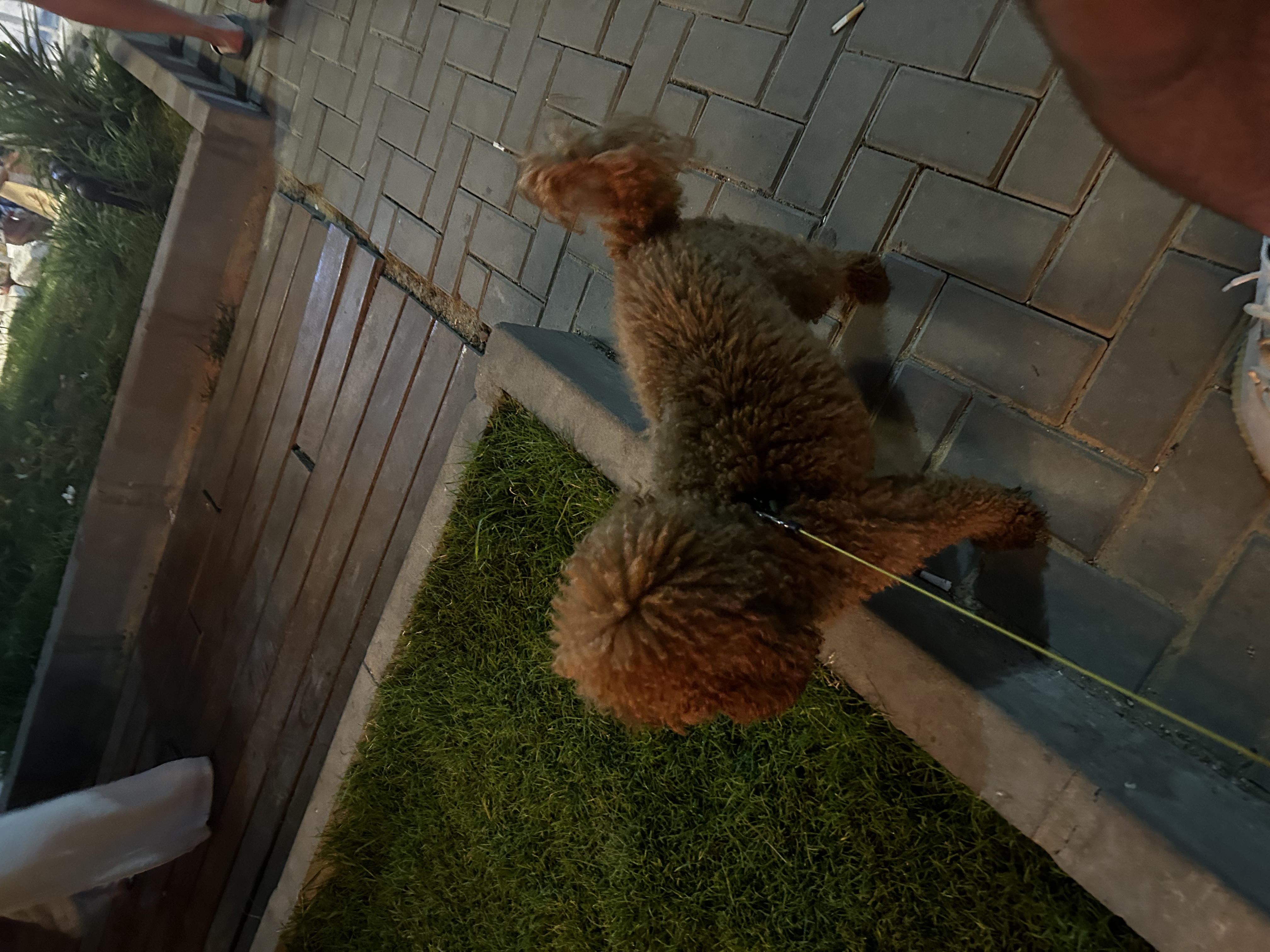 image-7