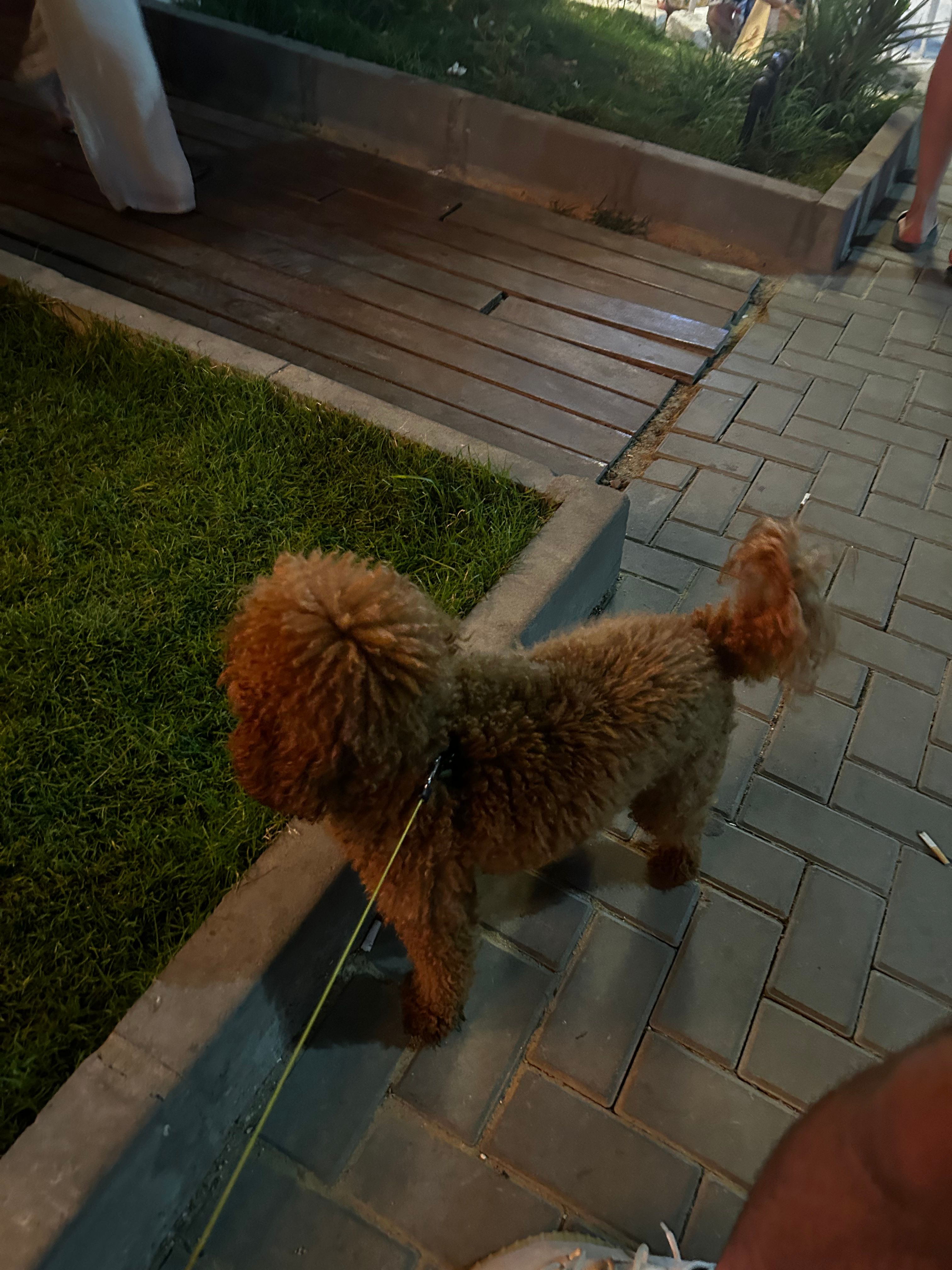 image-7