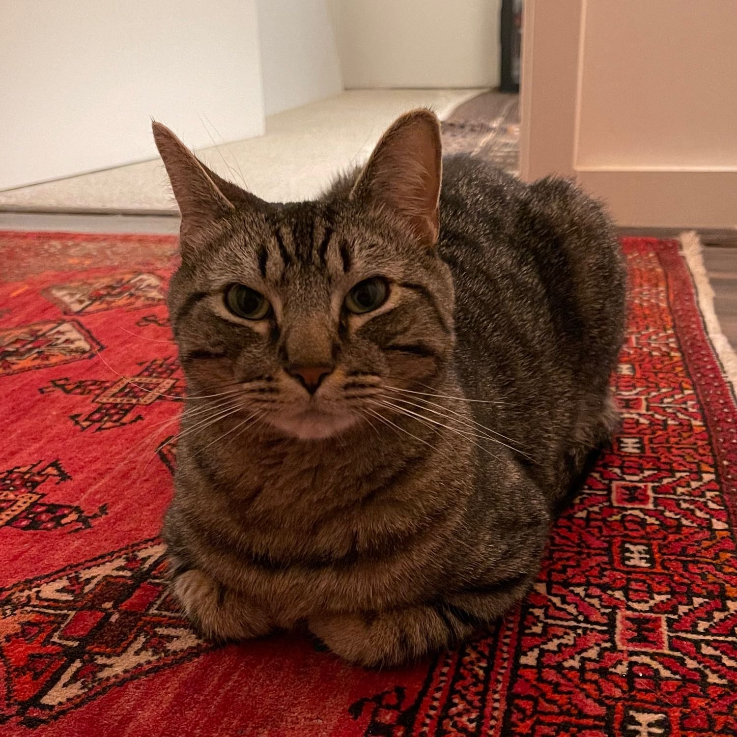 Kiki