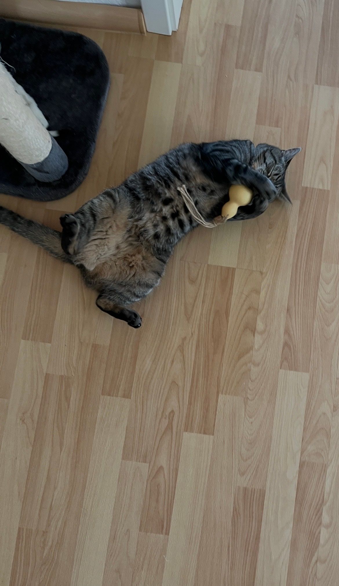 image-9