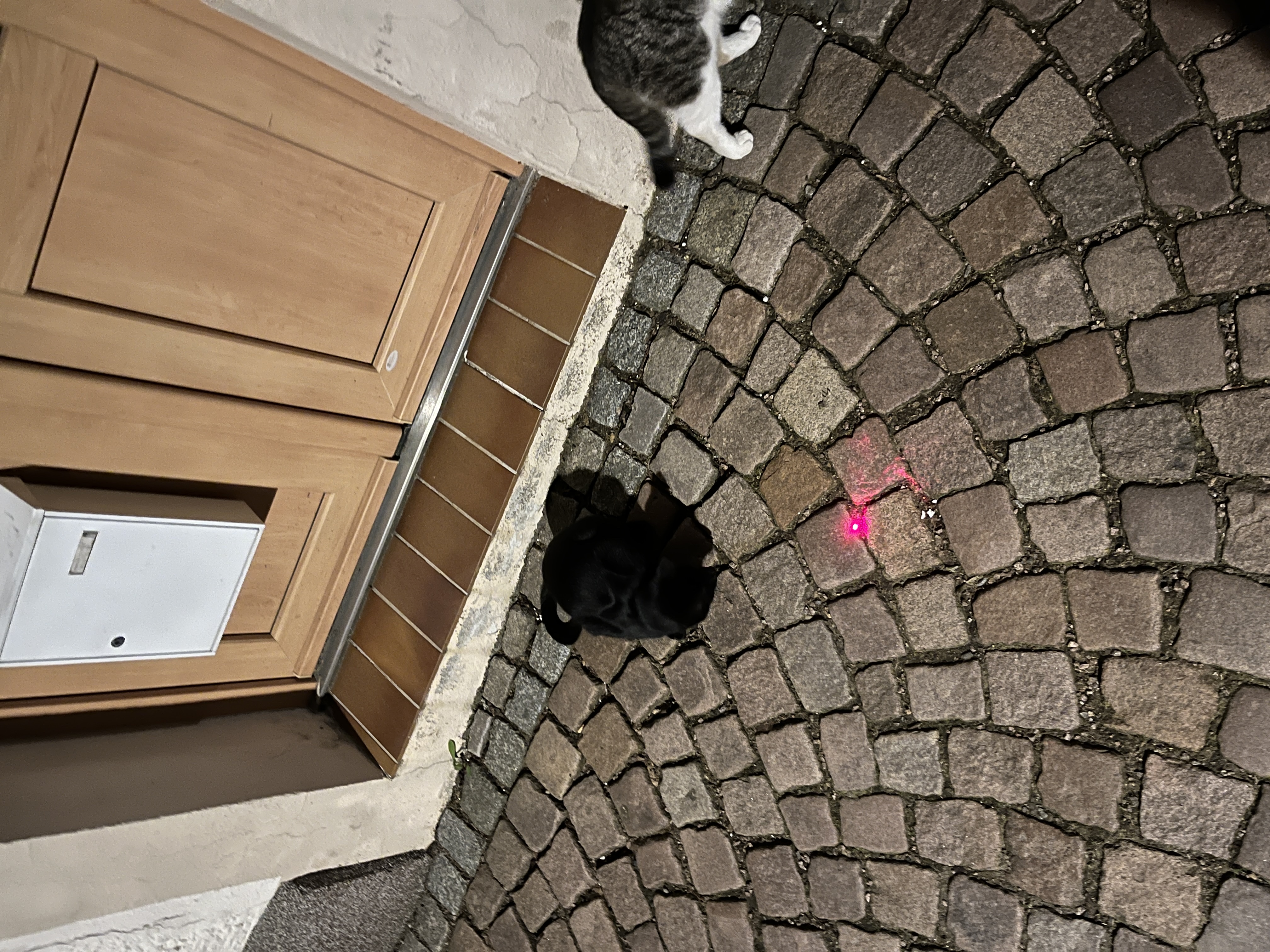 image-7