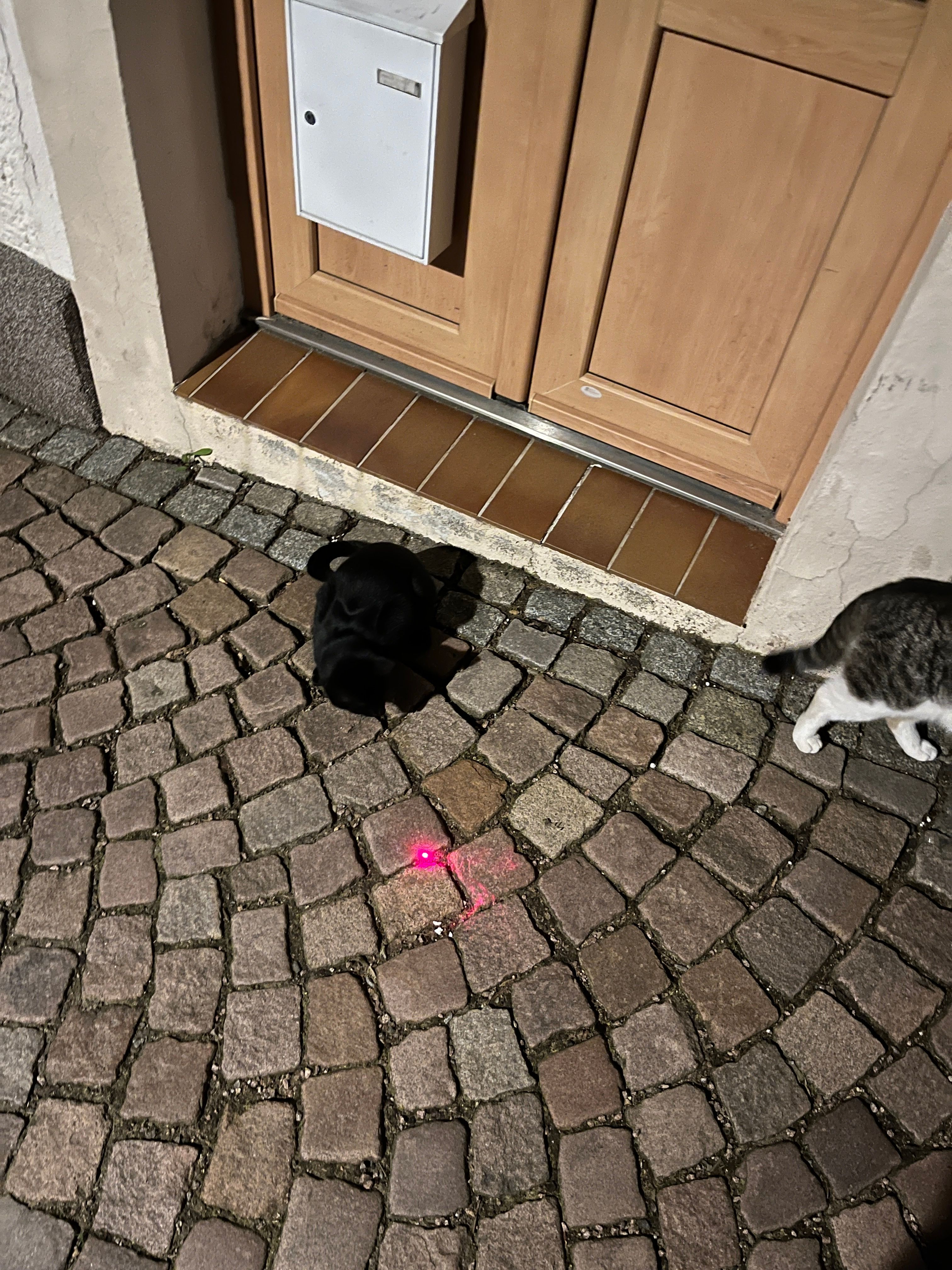image-7