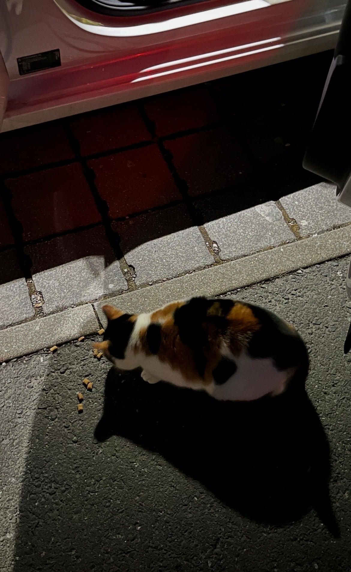 image-8