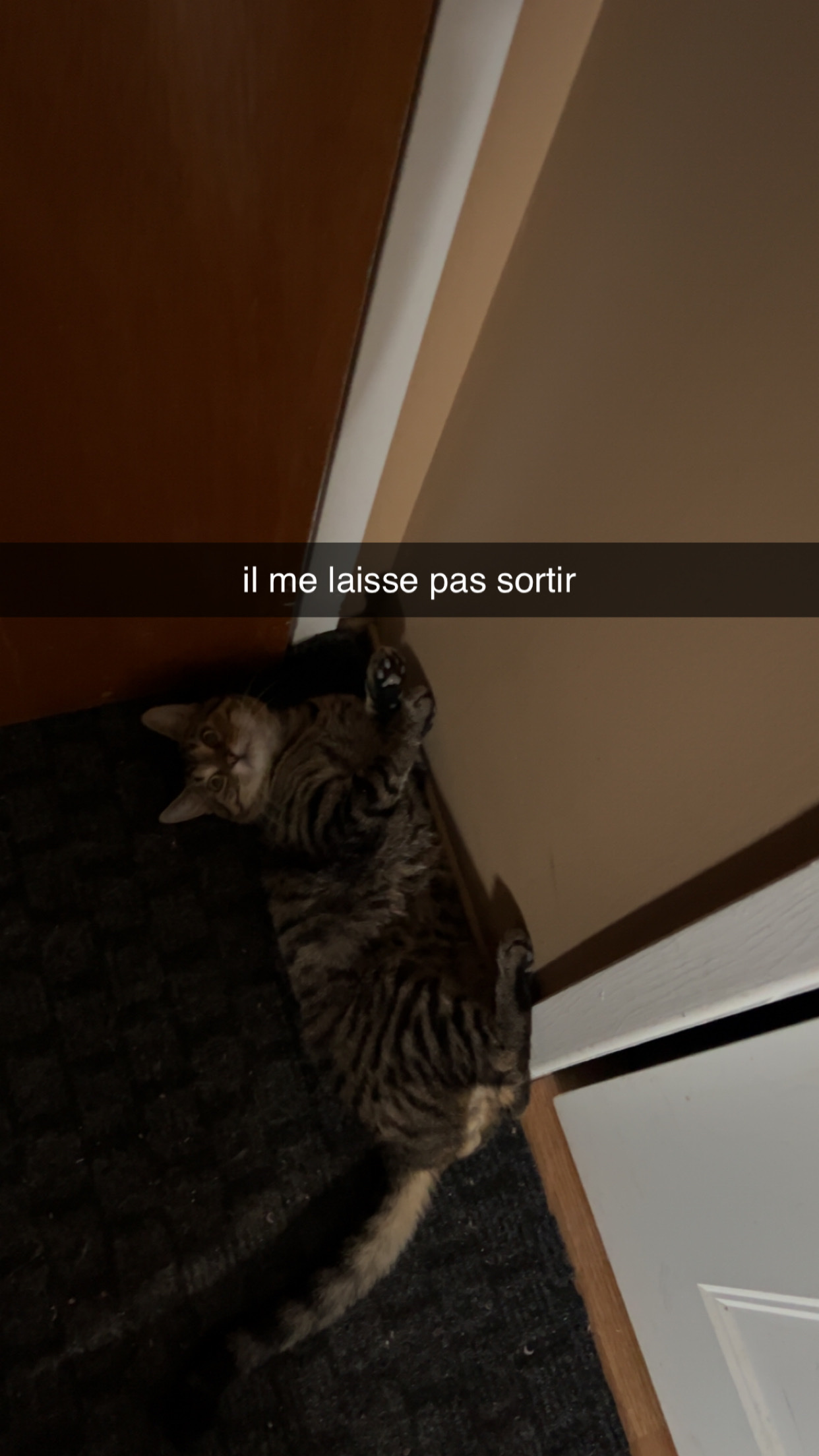 image-16